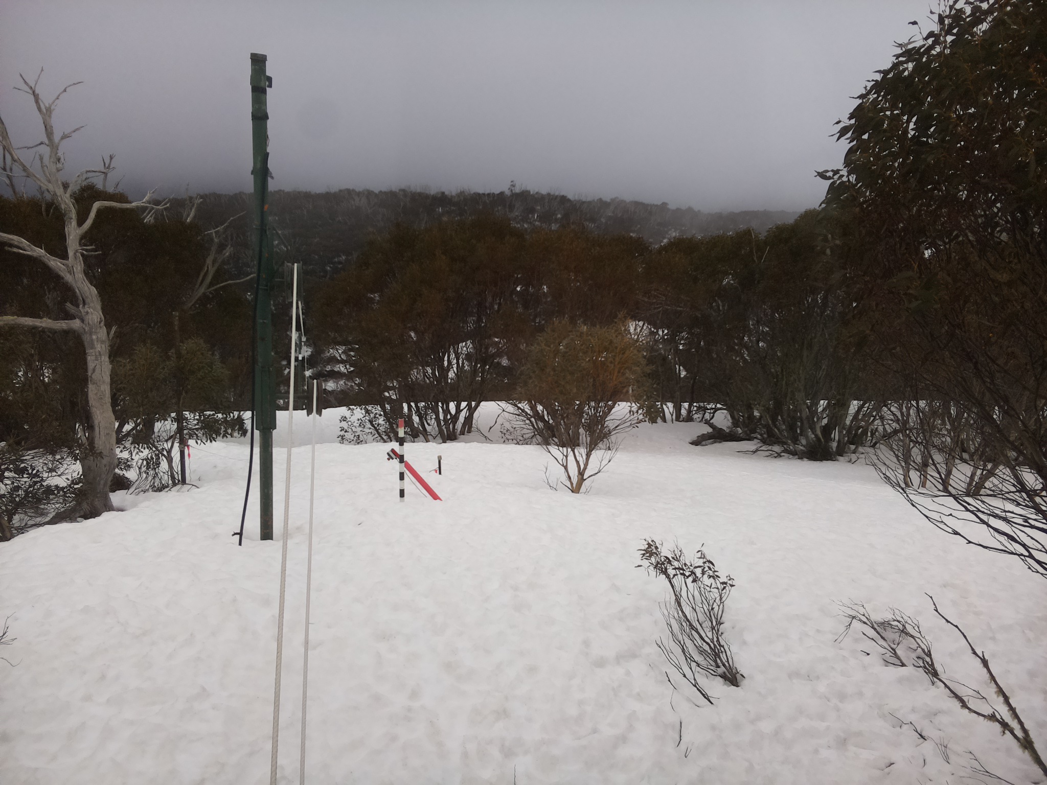 Bogong Web Cam 11:10am Wednesday 10th of September 2025