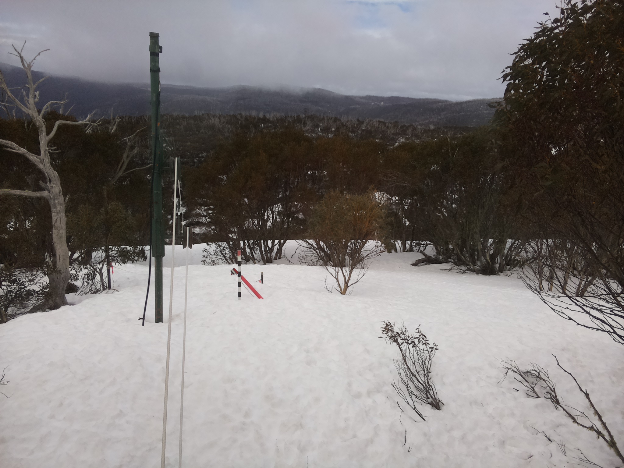 Bogong Web Cam 11:30am Wednesday 10th of September 2025