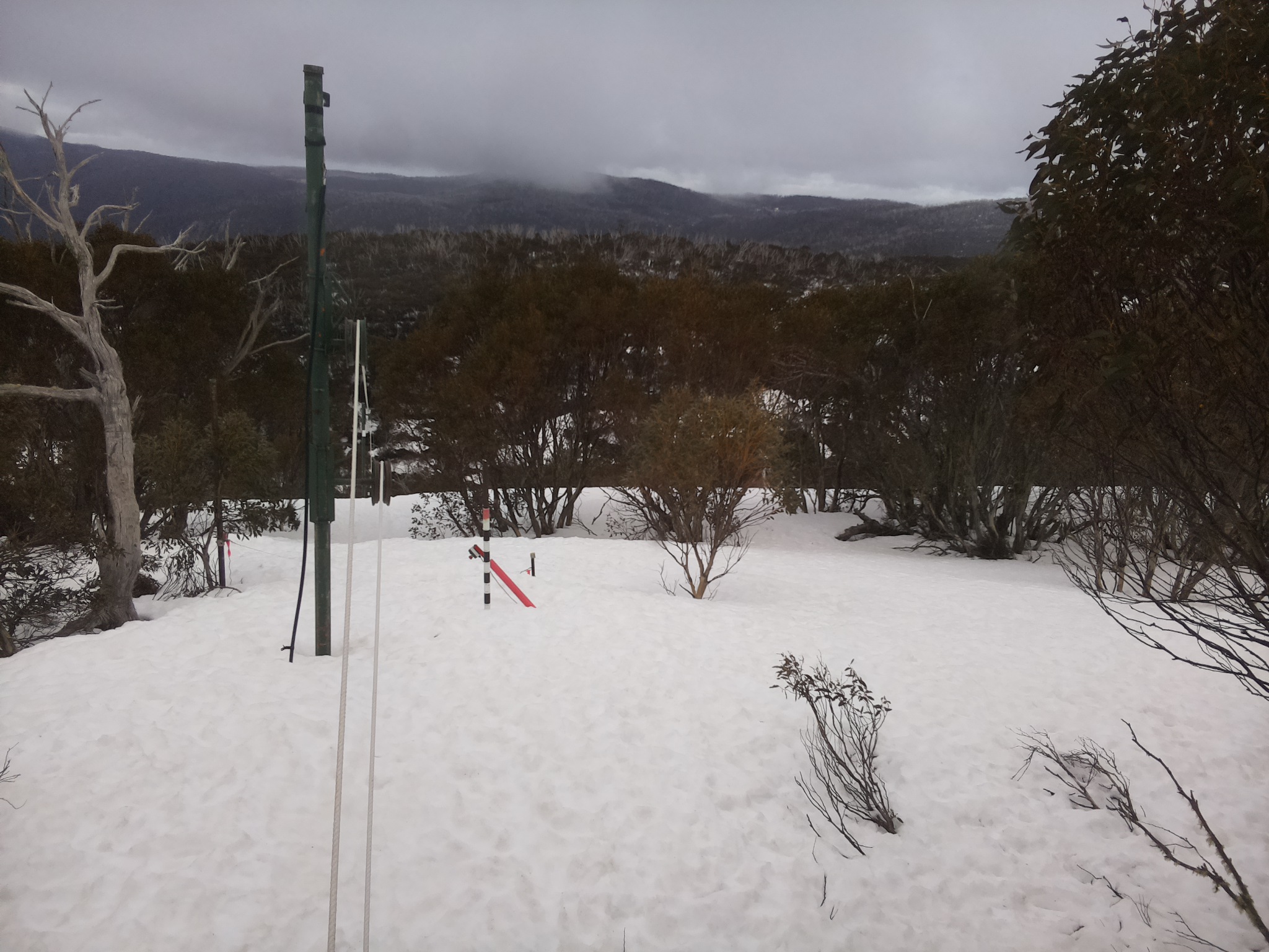 Bogong Web Cam 11:40am Wednesday 10th of September 2025