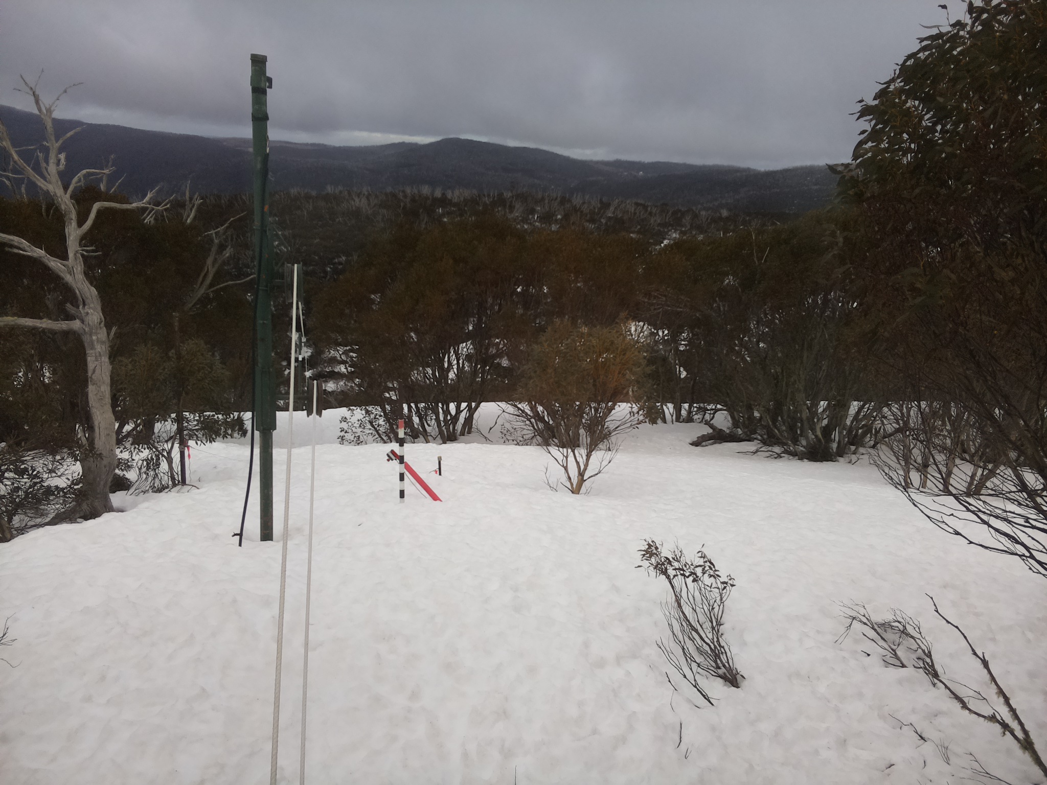Bogong Web Cam 11:50am Wednesday 10th of September 2025