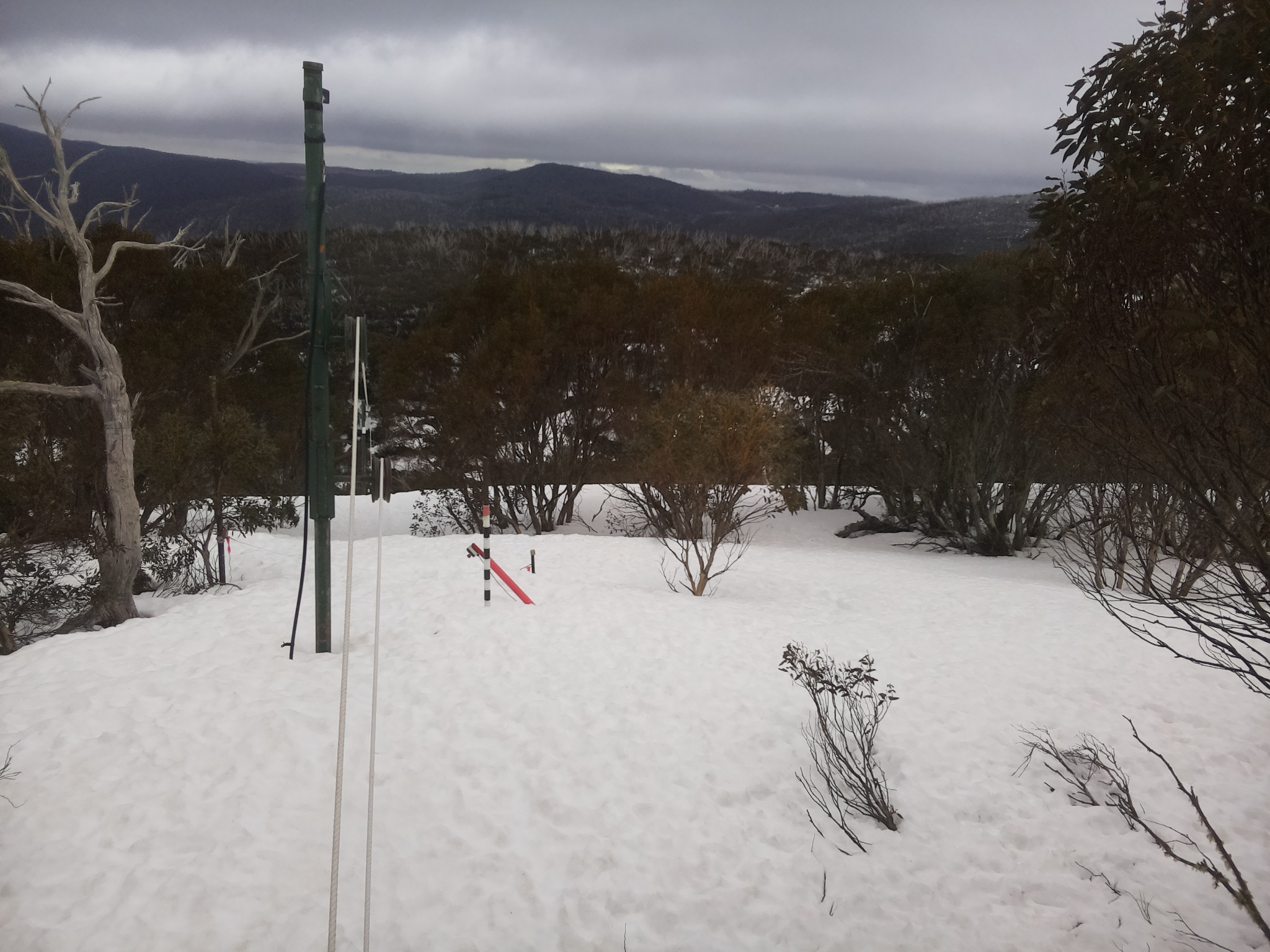 Bogong Web Cam 3:00pm Wednesday 10th of September 2025
