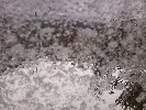 Thumbnail 11:10am Thursday 11th of September 2025
