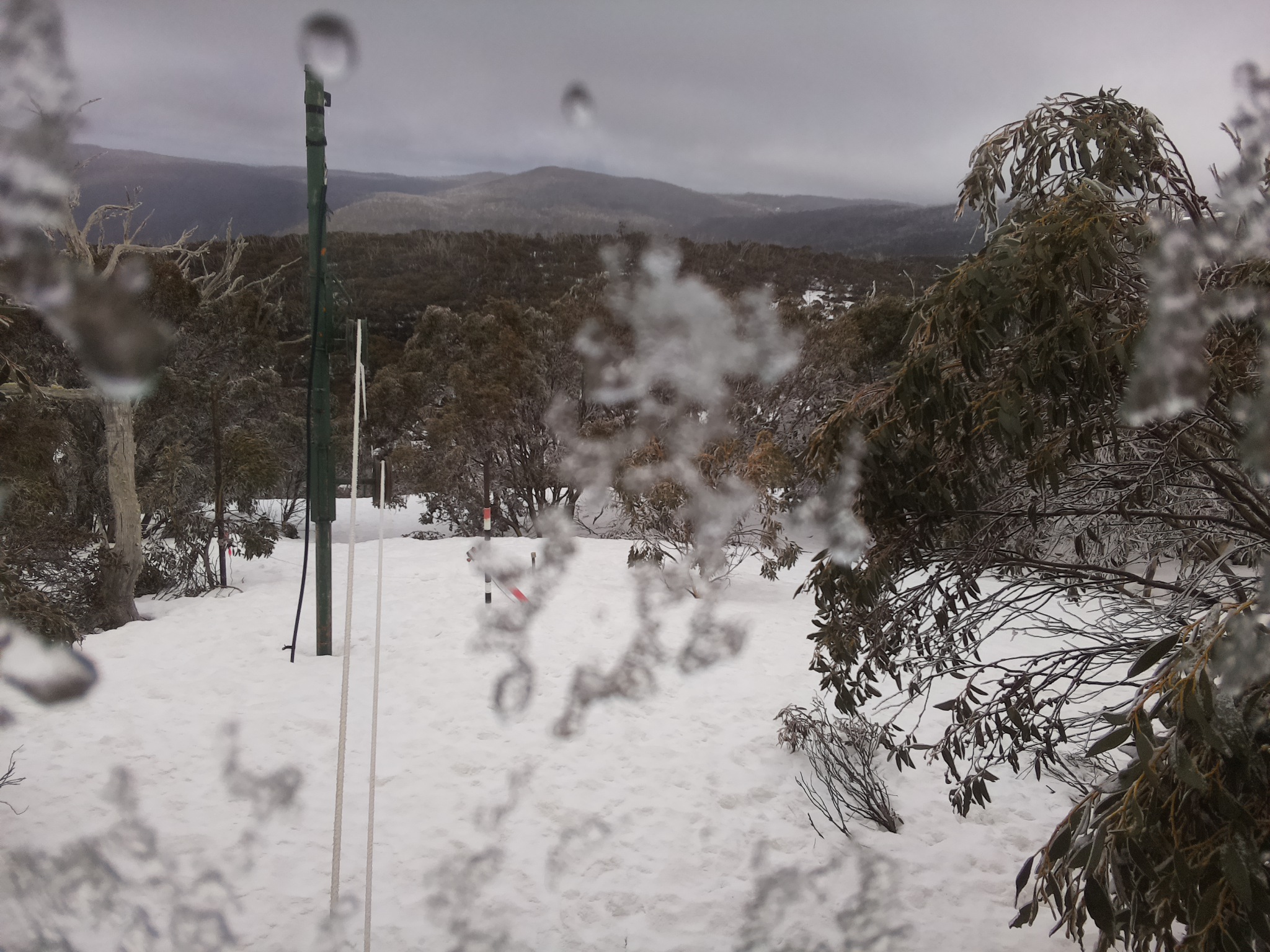 Bogong Web Cam 11:20am Thursday 11th of September 2025
