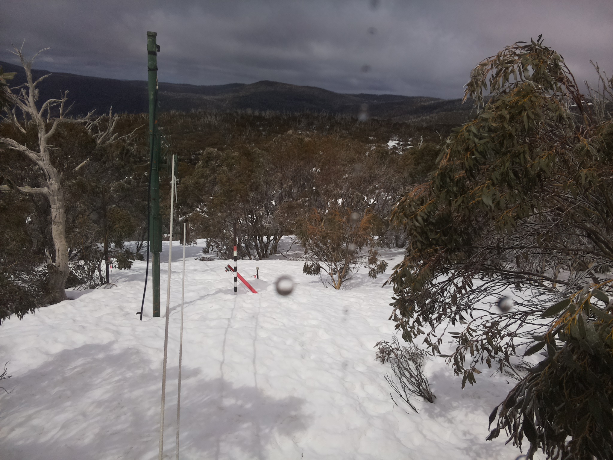 Bogong Web Cam 11:40am Thursday 11th of September 2025