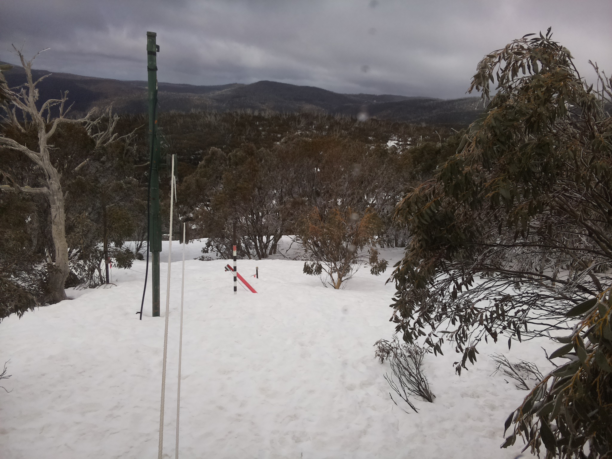 Bogong Web Cam 11:50am Thursday 11th of September 2025