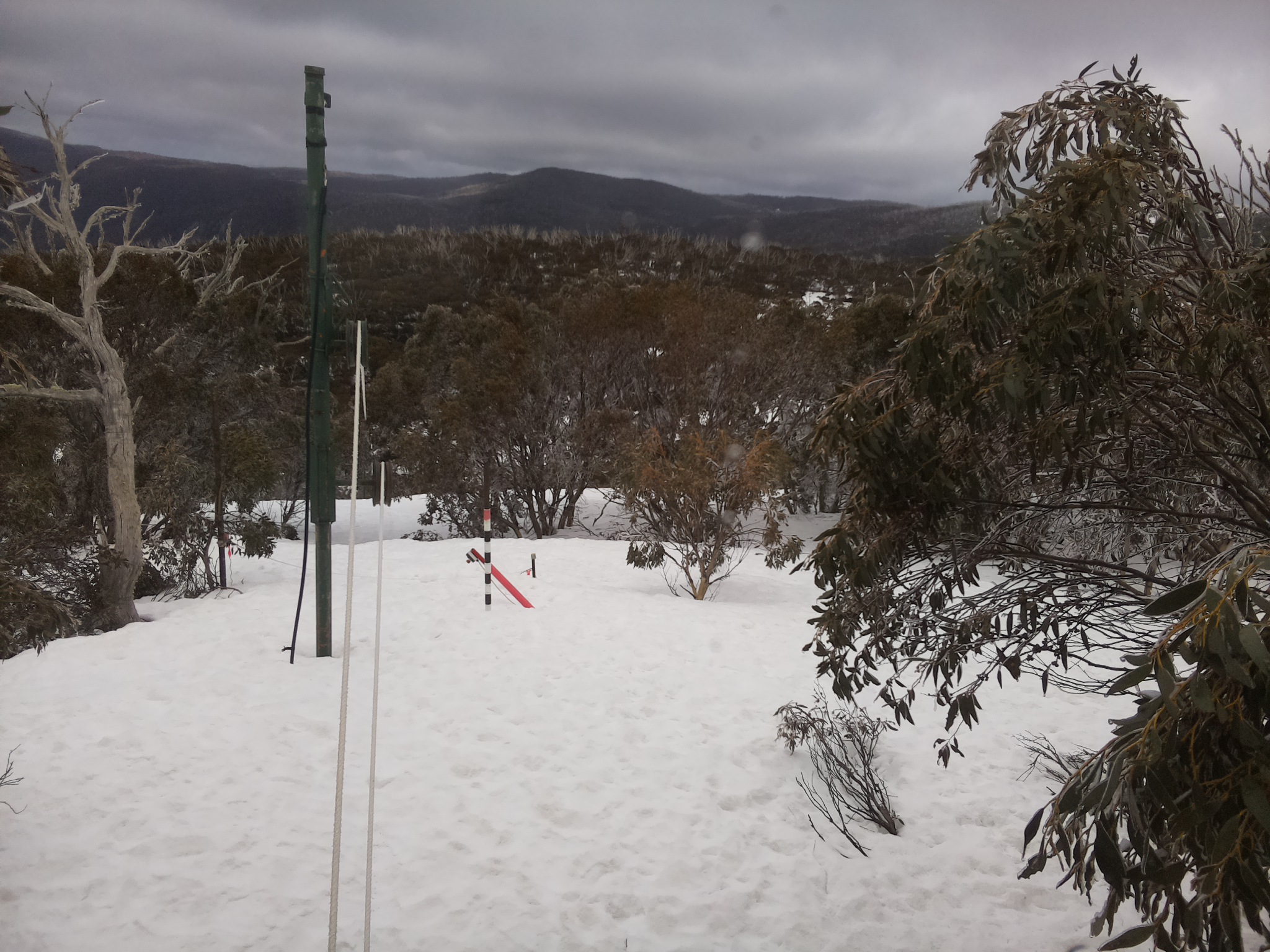 Bogong Web Cam 12:00pm Thursday 11th of September 2025