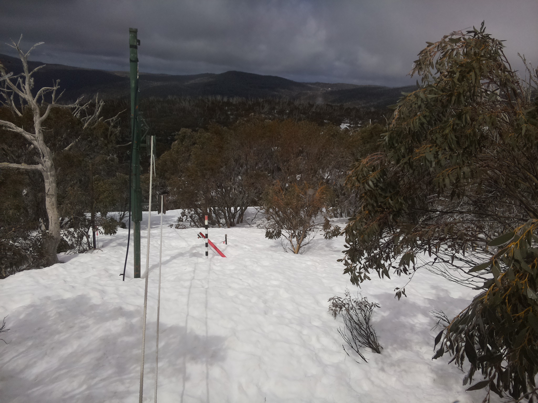 Bogong Web Cam 12:10pm Thursday 11th of September 2025