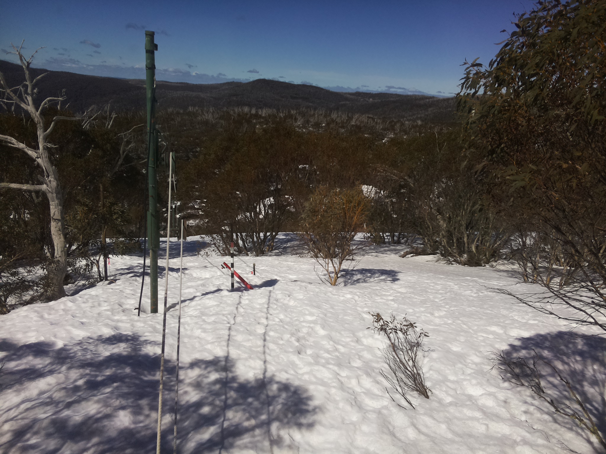 Bogong Web Cam 11:20am Friday 12th of September 2025