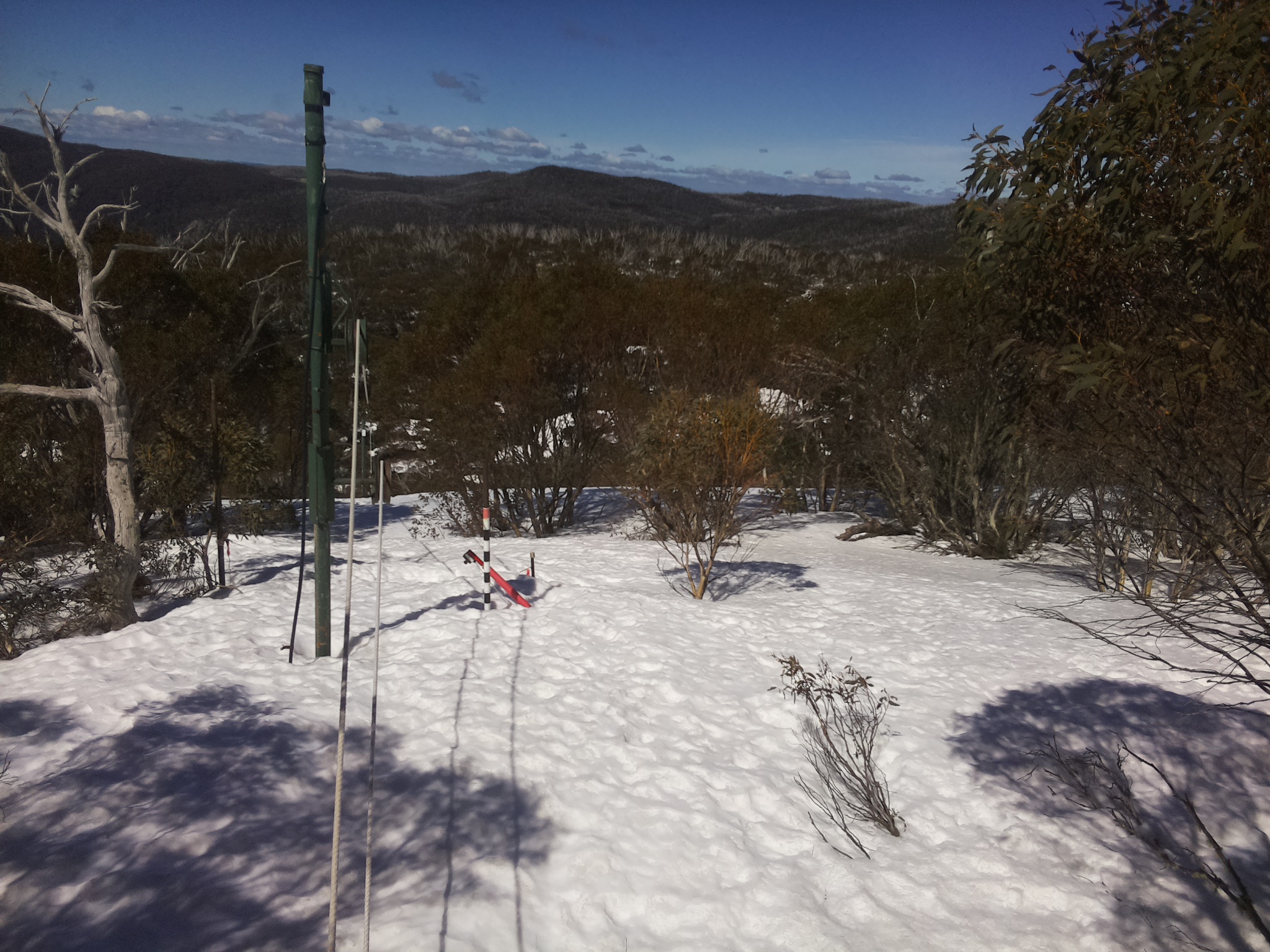 Bogong Web Cam 11:50am Friday 12th of September 2025