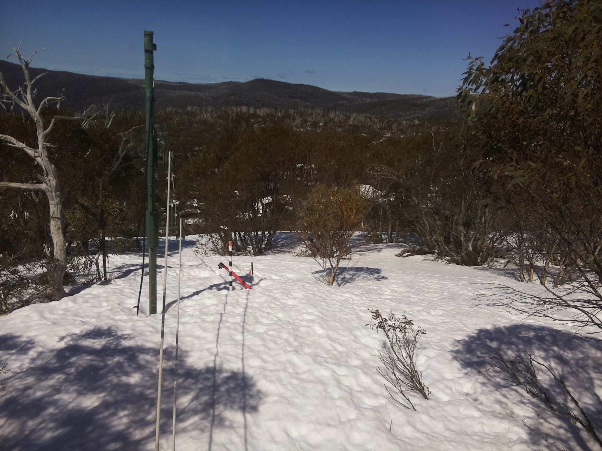 Bogong Web Cam 11:50am Saturday 13th of September 2025