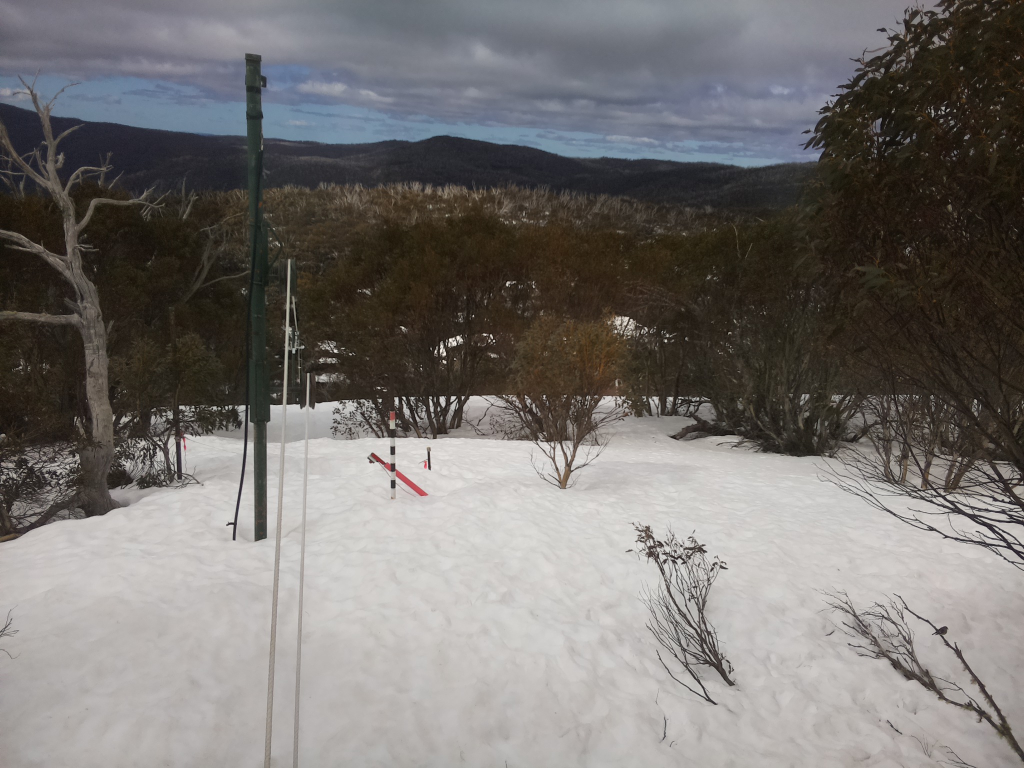Bogong Web Cam 10:50am Sunday 14th of September 2025