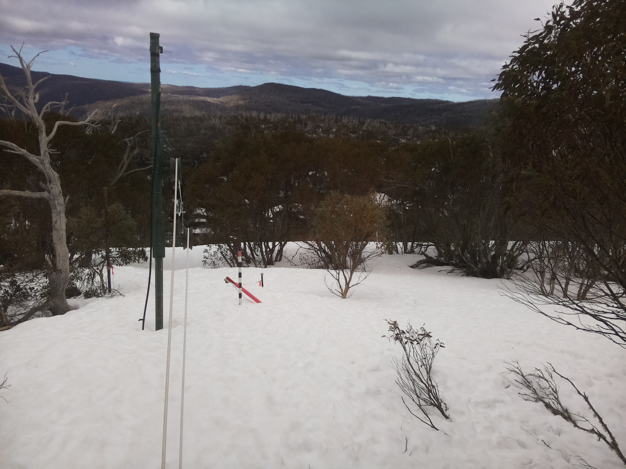 Bogong Web Cam 11:20am Sunday 14th of September 2025