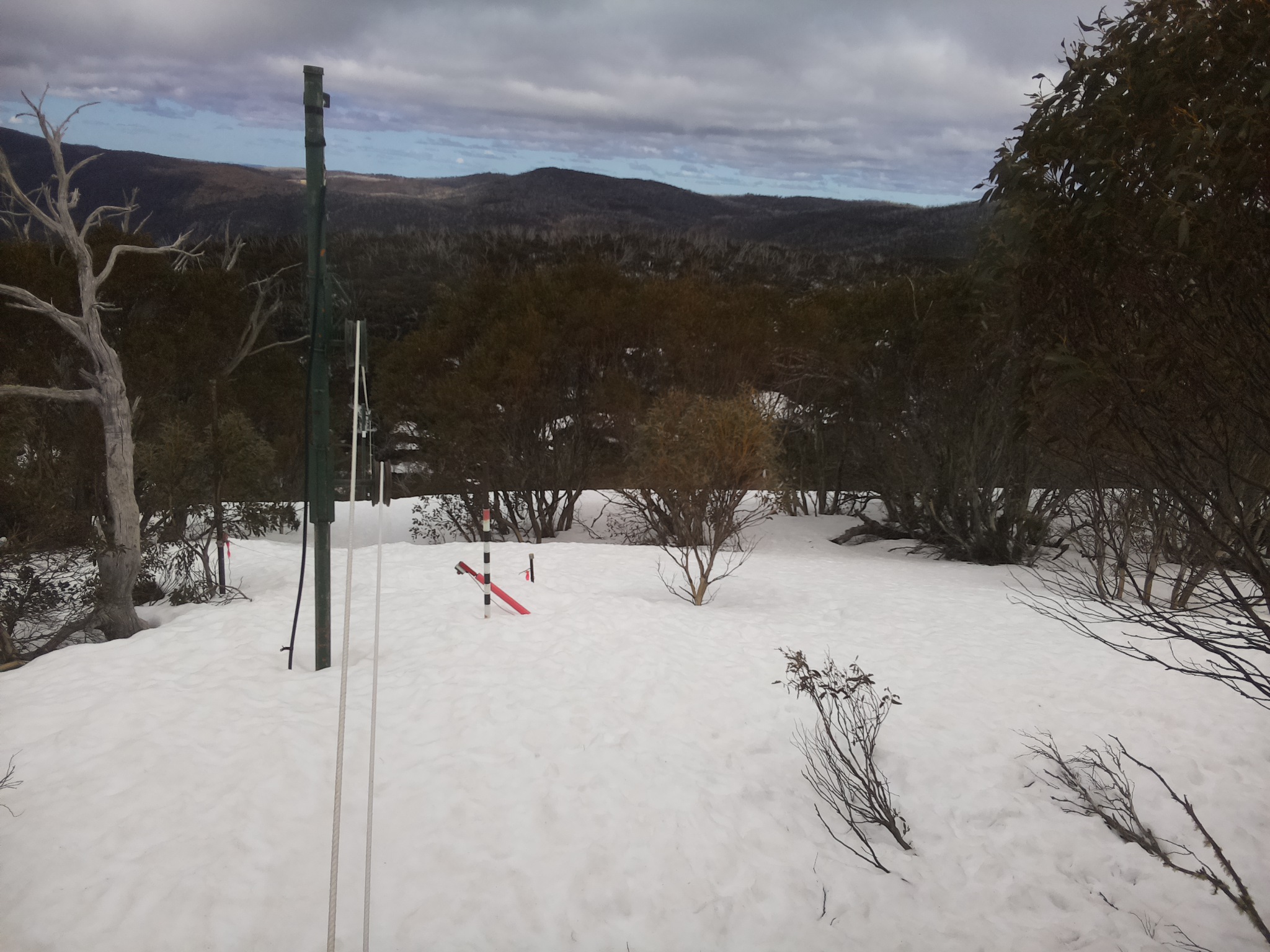 Bogong Web Cam 11:30am Sunday 14th of September 2025
