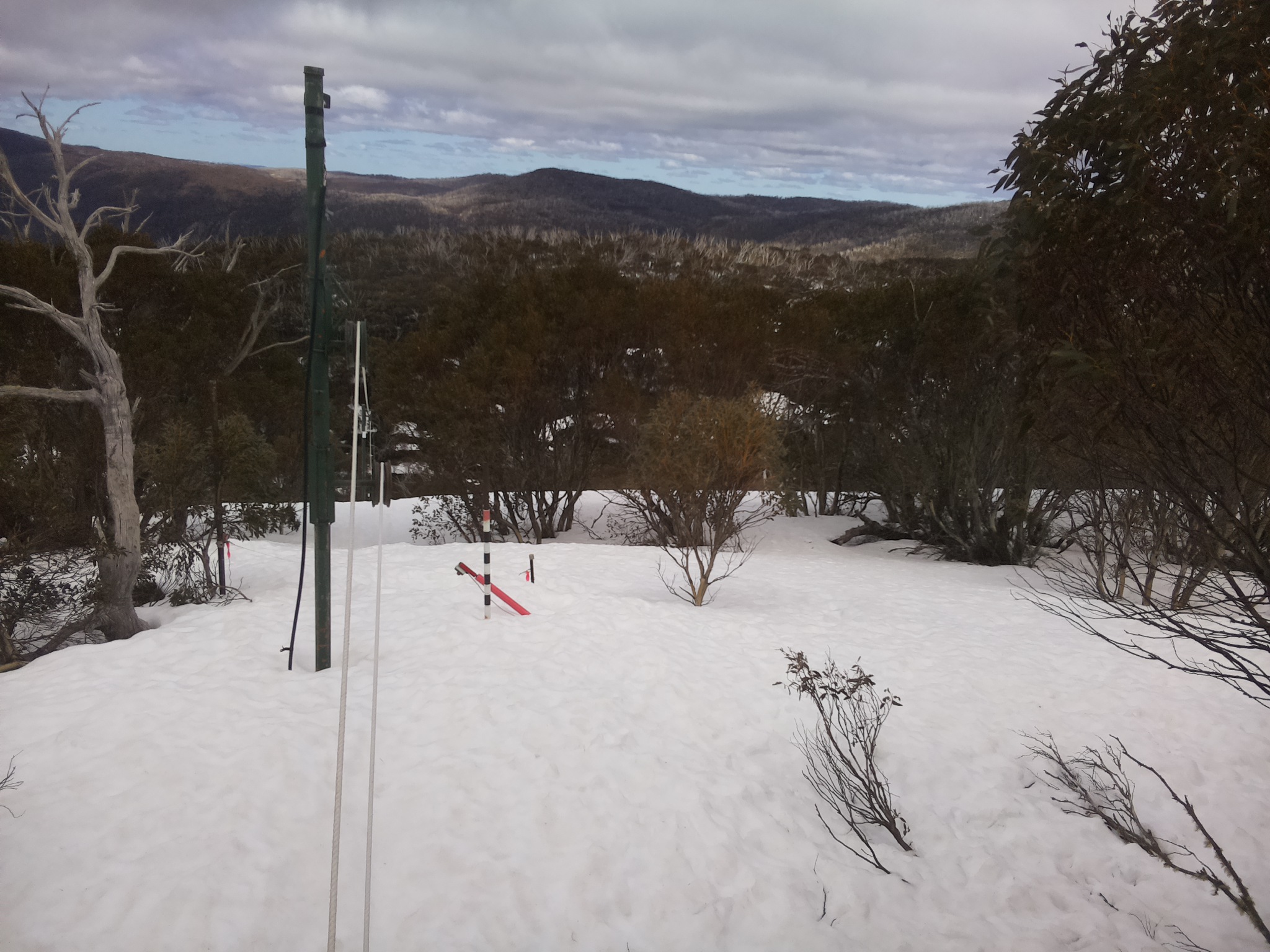 Bogong Web Cam 11:40am Sunday 14th of September 2025