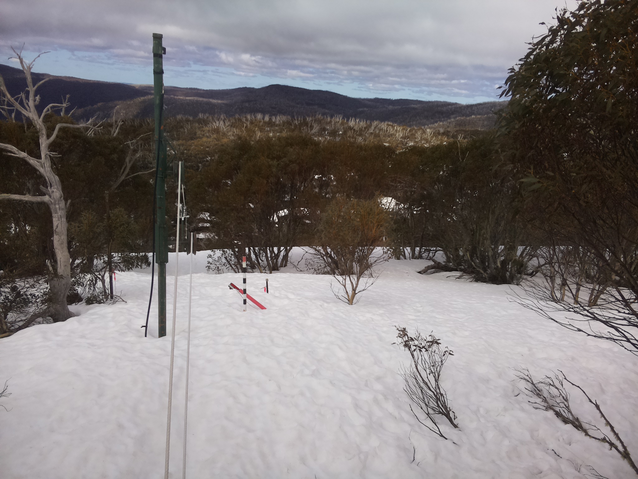 Bogong Web Cam 11:50am Sunday 14th of September 2025