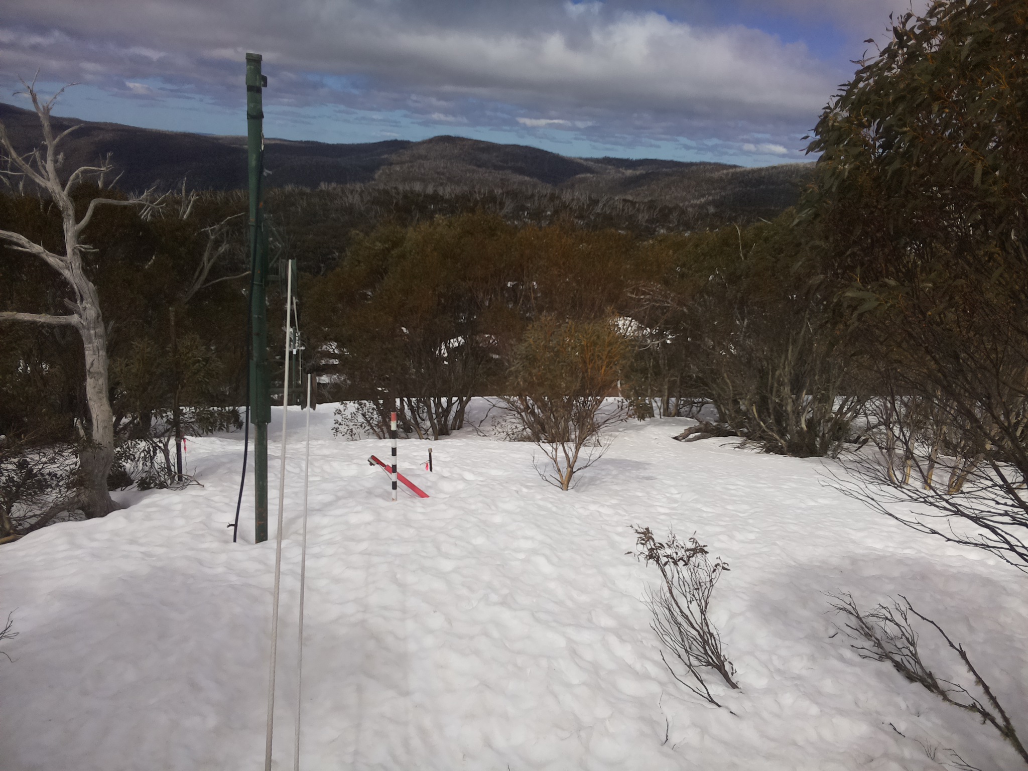 Bogong Web Cam 12:00pm Sunday 14th of September 2025