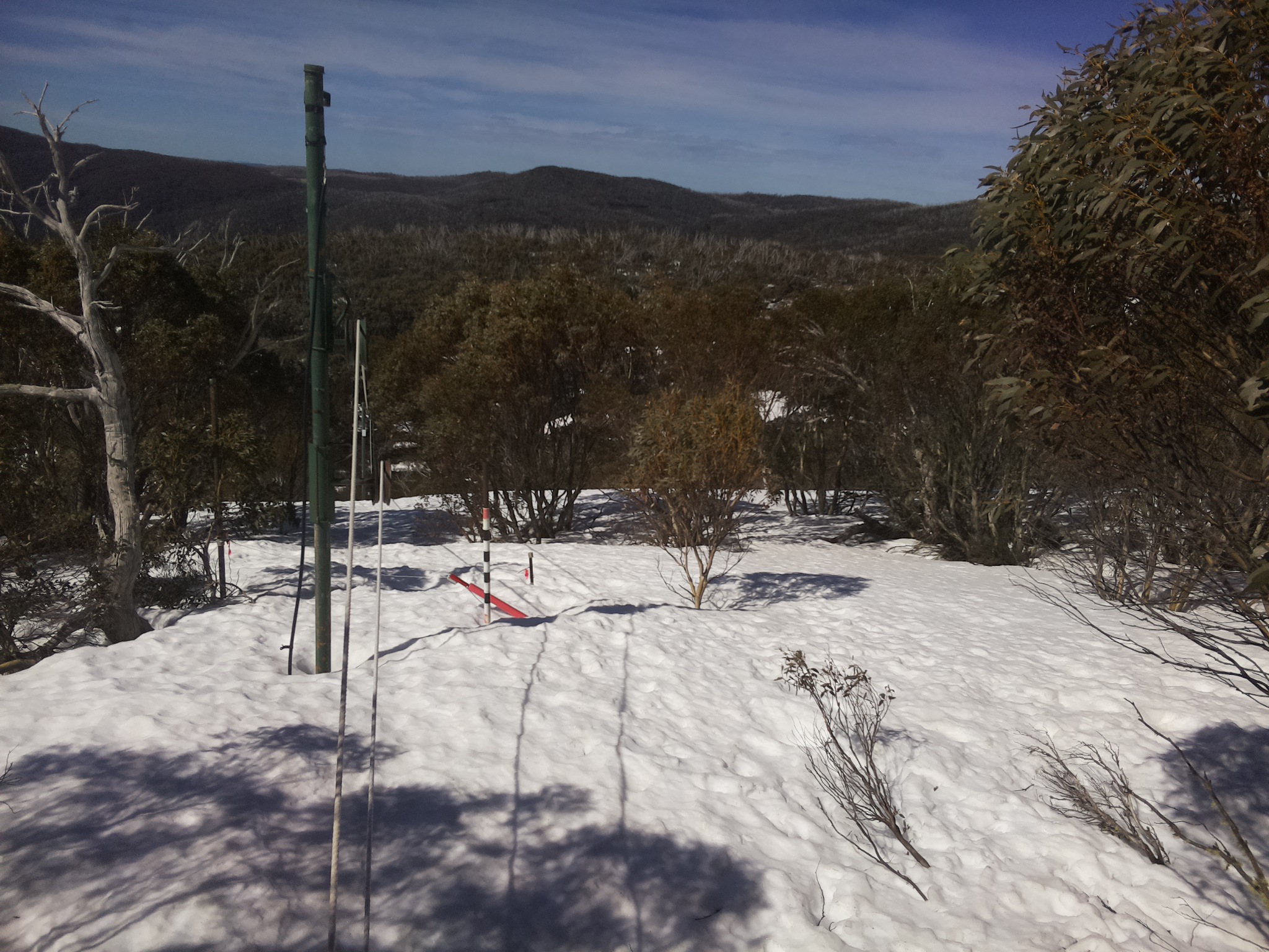 Bogong Web Cam 10:40am Monday 15th of September 2025