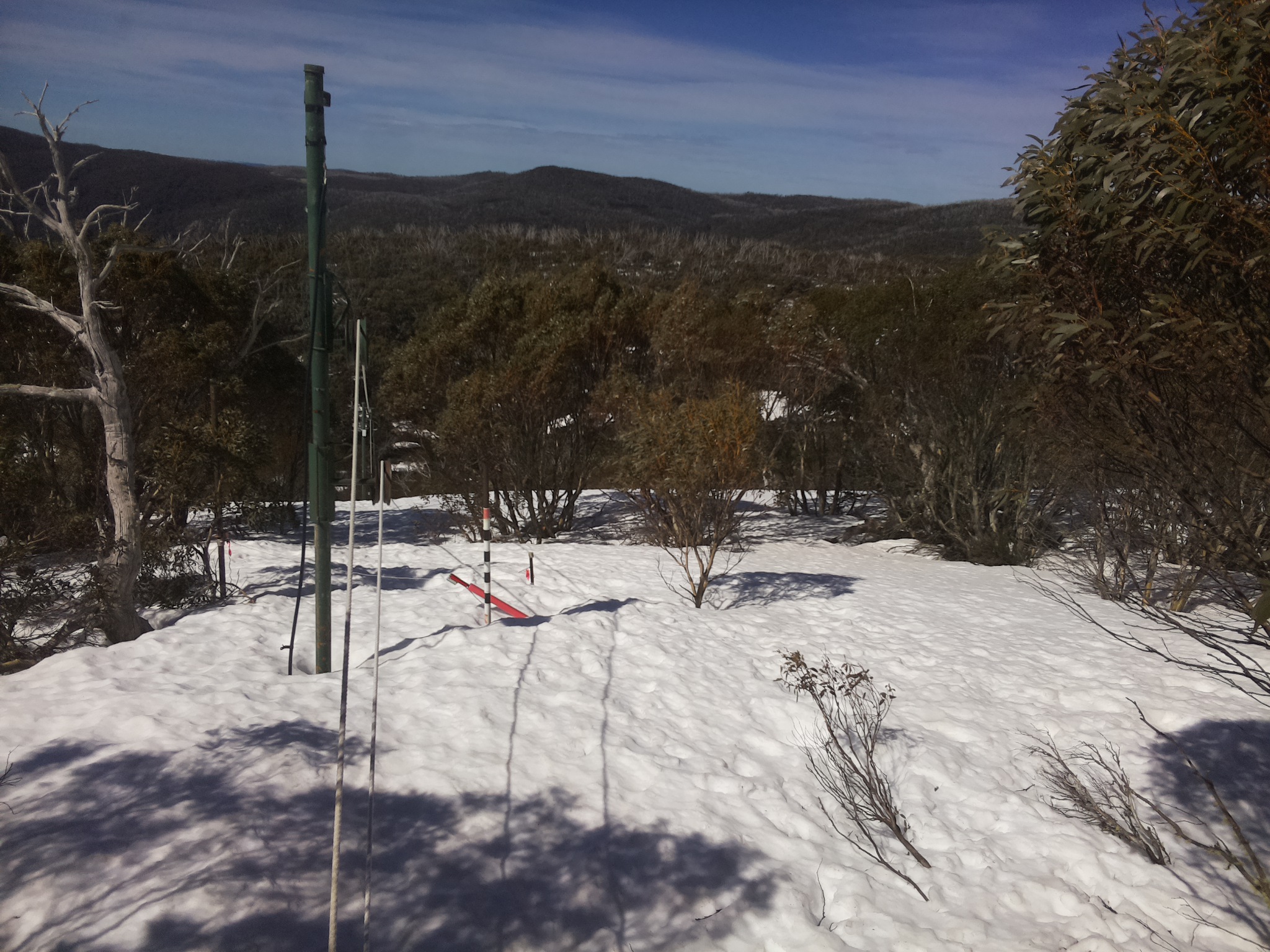 Bogong Web Cam 10:50am Monday 15th of September 2025