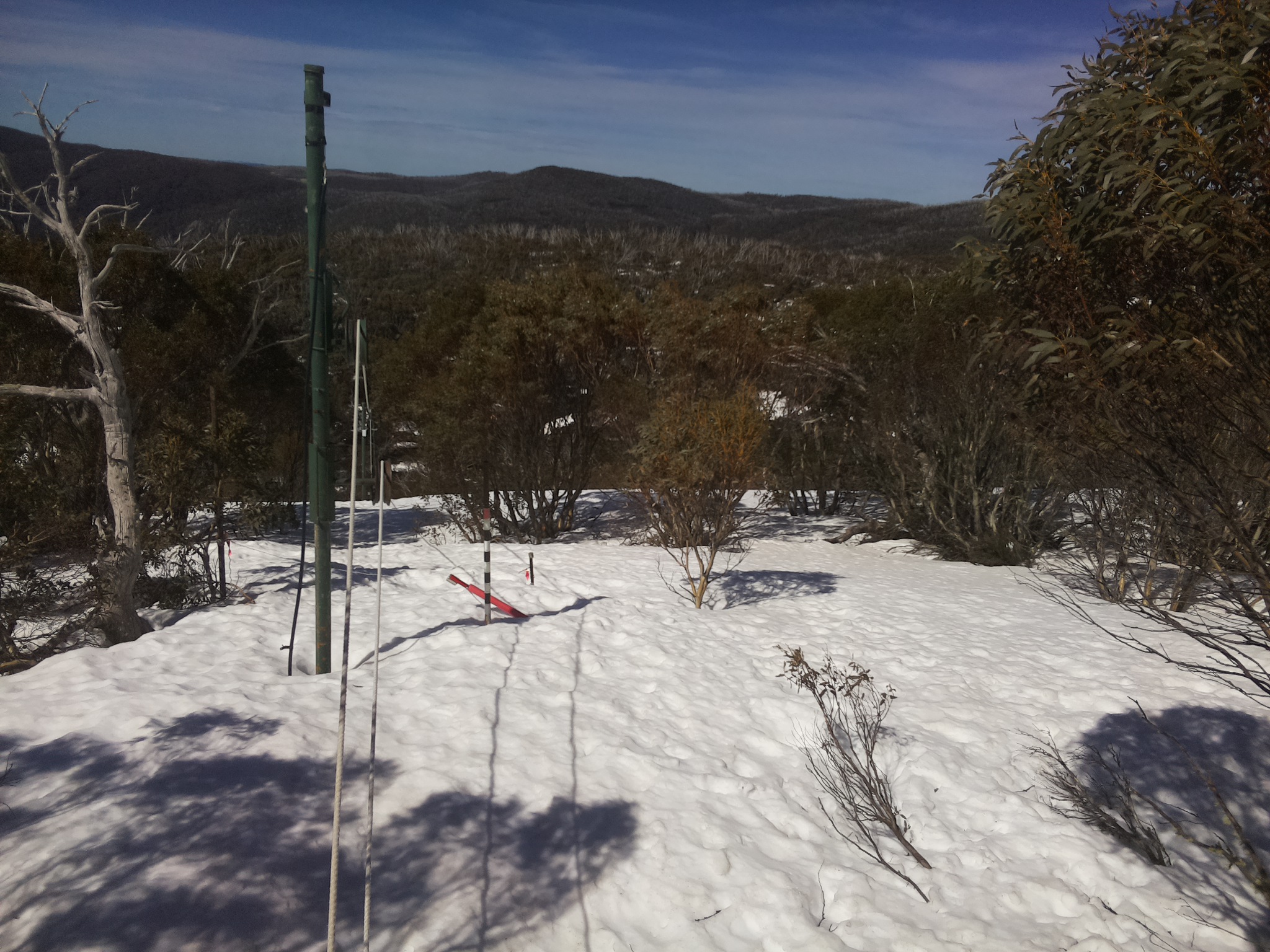 Bogong Web Cam 11:10am Monday 15th of September 2025