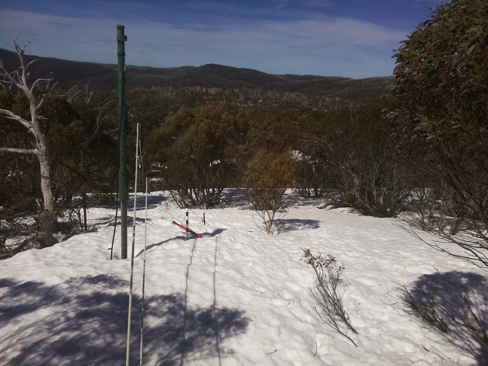 Bogong Web Cam 11:20am Monday 15th of September 2025