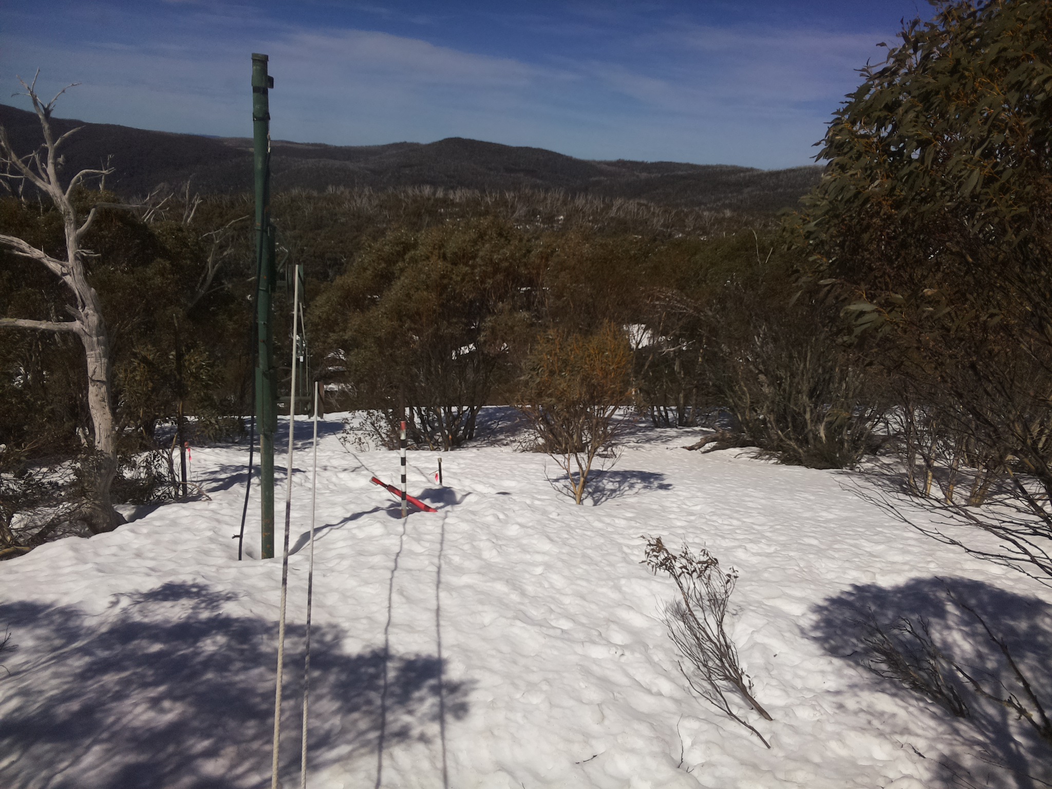 Bogong Web Cam 11:40am Monday 15th of September 2025