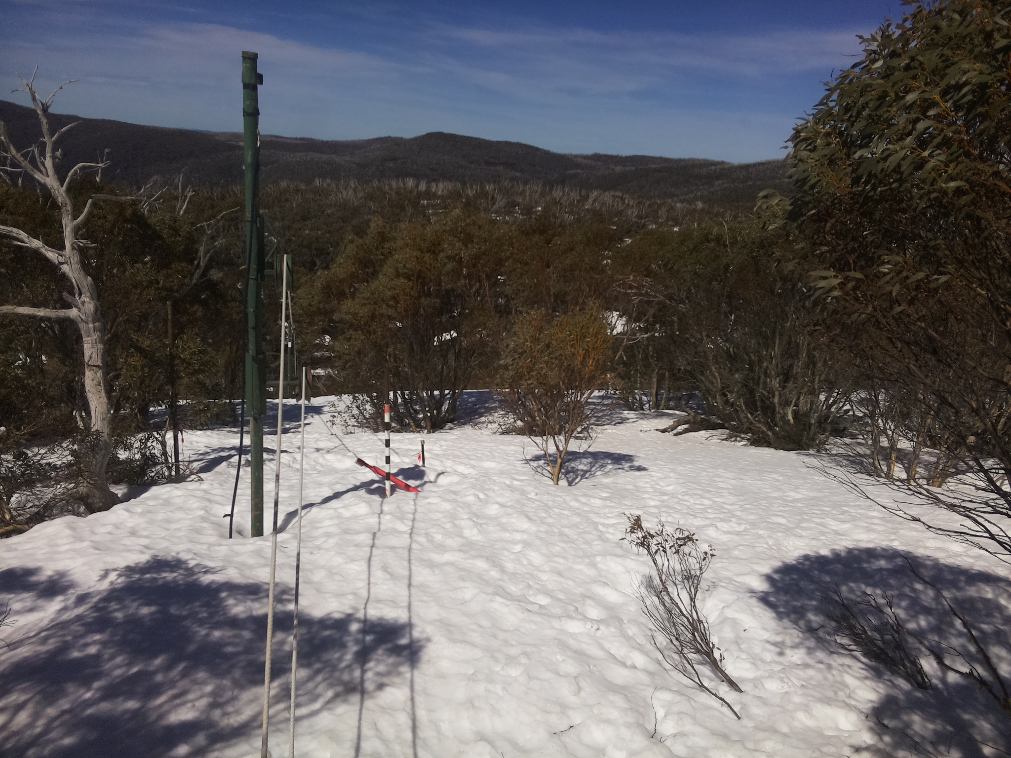 Bogong Web Cam 11:50am Monday 15th of September 2025
