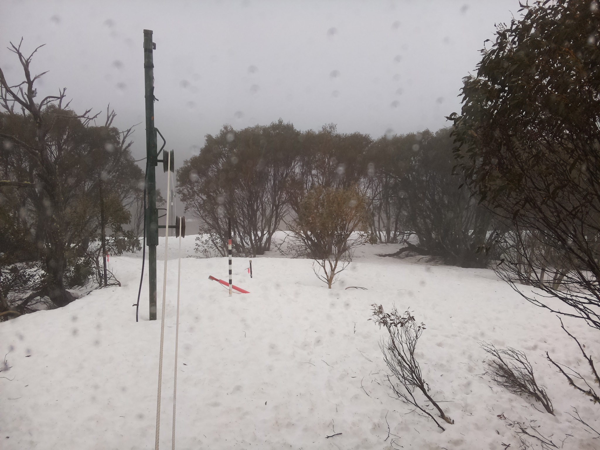 Bogong Web Cam 9:50am Tuesday 16th of September 2025