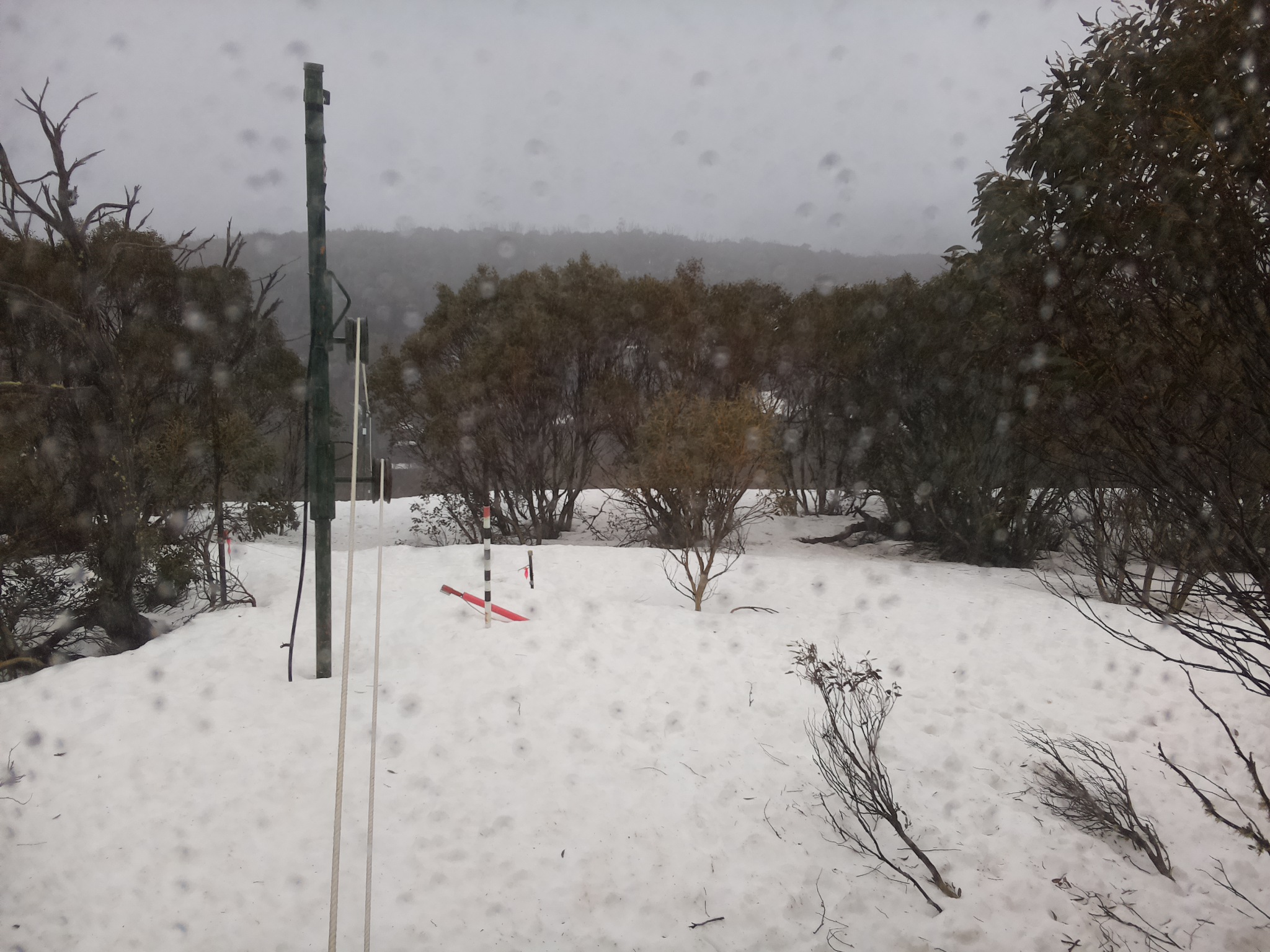 Bogong Web Cam 11:20am Tuesday 16th of September 2025
