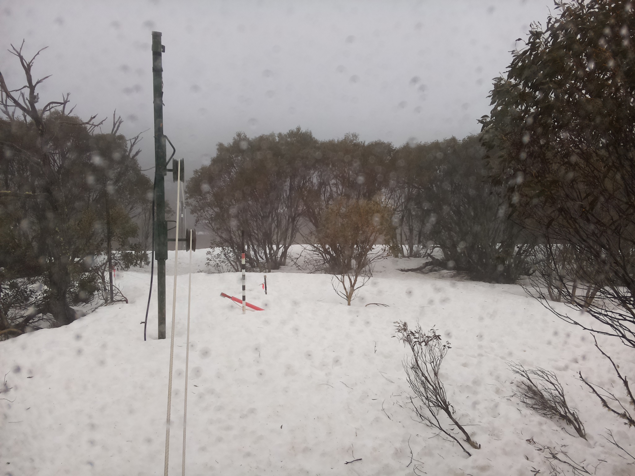 Bogong Web Cam 11:30am Tuesday 16th of September 2025