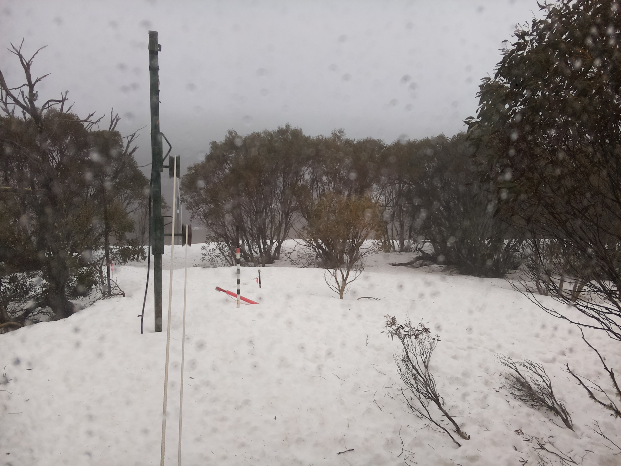 Bogong Web Cam 11:40am Tuesday 16th of September 2025