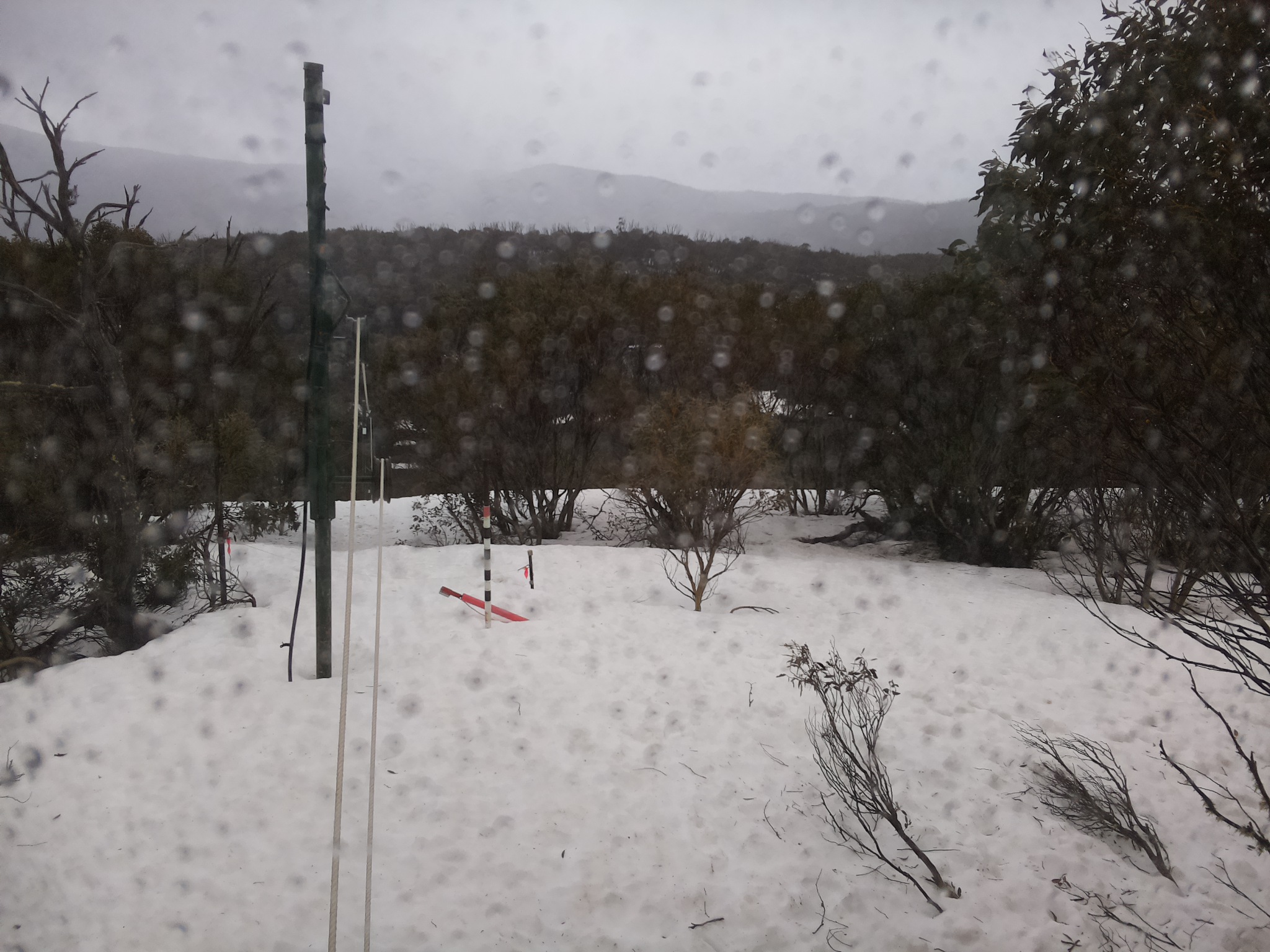 Bogong Web Cam 1:00pm Tuesday 16th of September 2025