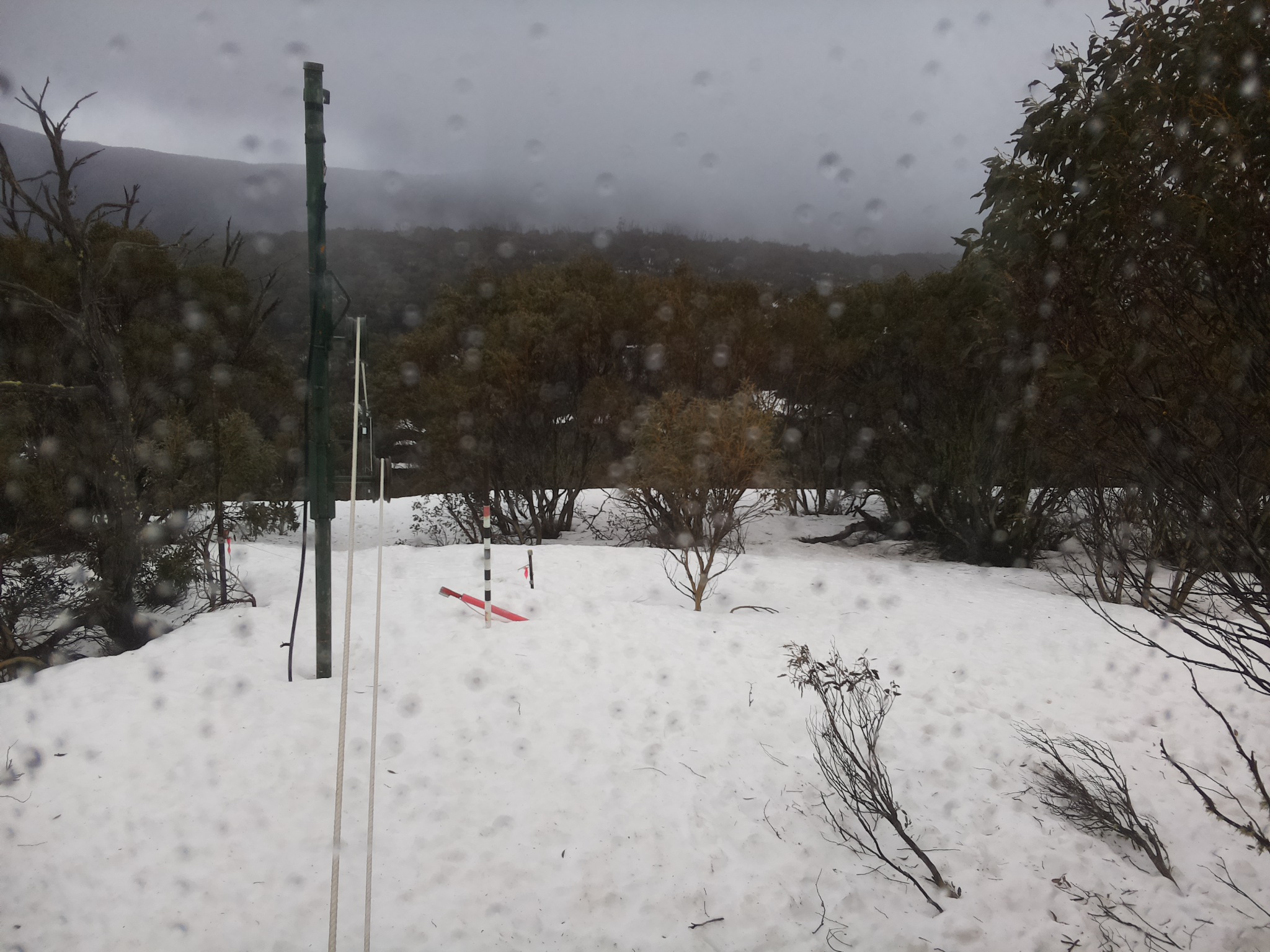 Bogong Web Cam 1:40pm Tuesday 16th of September 2025