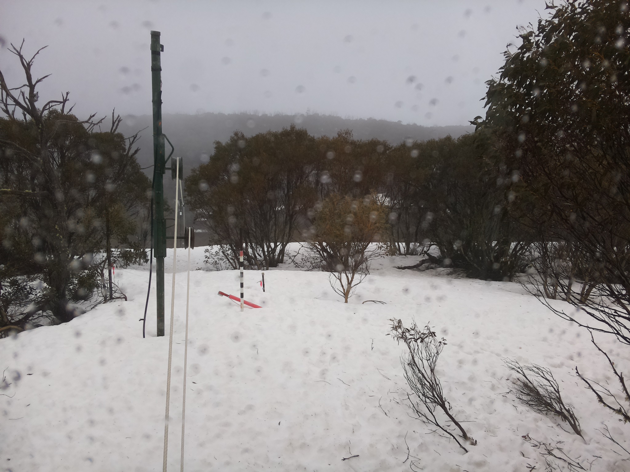 Bogong Web Cam 2:00pm Tuesday 16th of September 2025