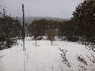 Thumbnail 2:00pm Tuesday 16th of September 2025