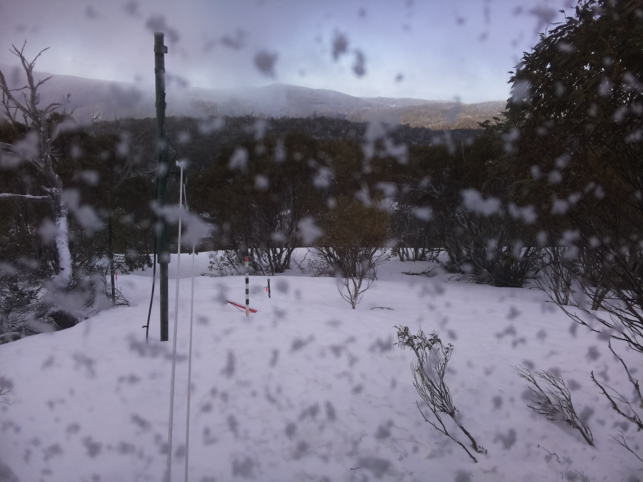 Bogong Web Cam 8:00am Wednesday 17th of September 2025