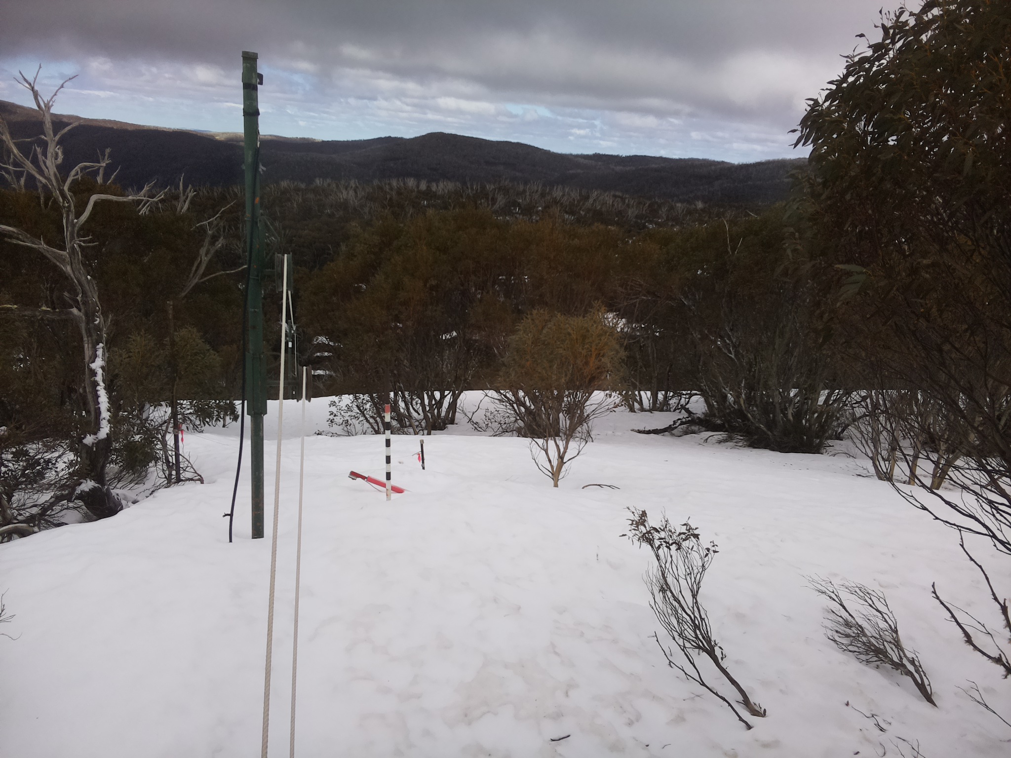 Bogong Web Cam 11:50am Wednesday 17th of September 2025