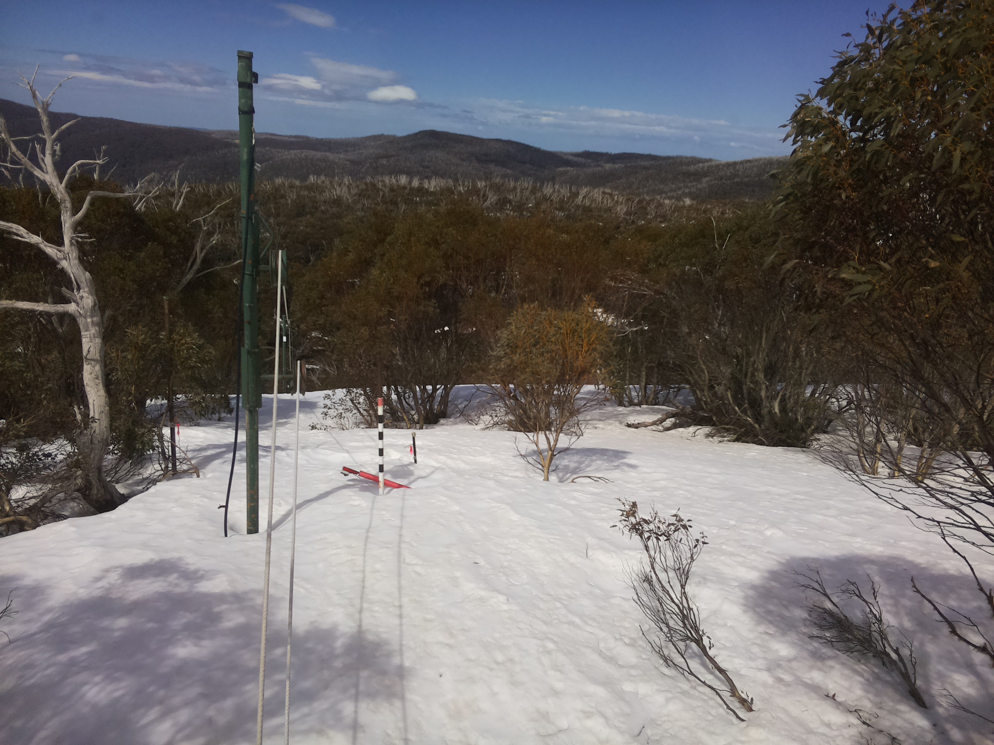 Bogong Web Cam 11:50am Friday 19th of September 2025