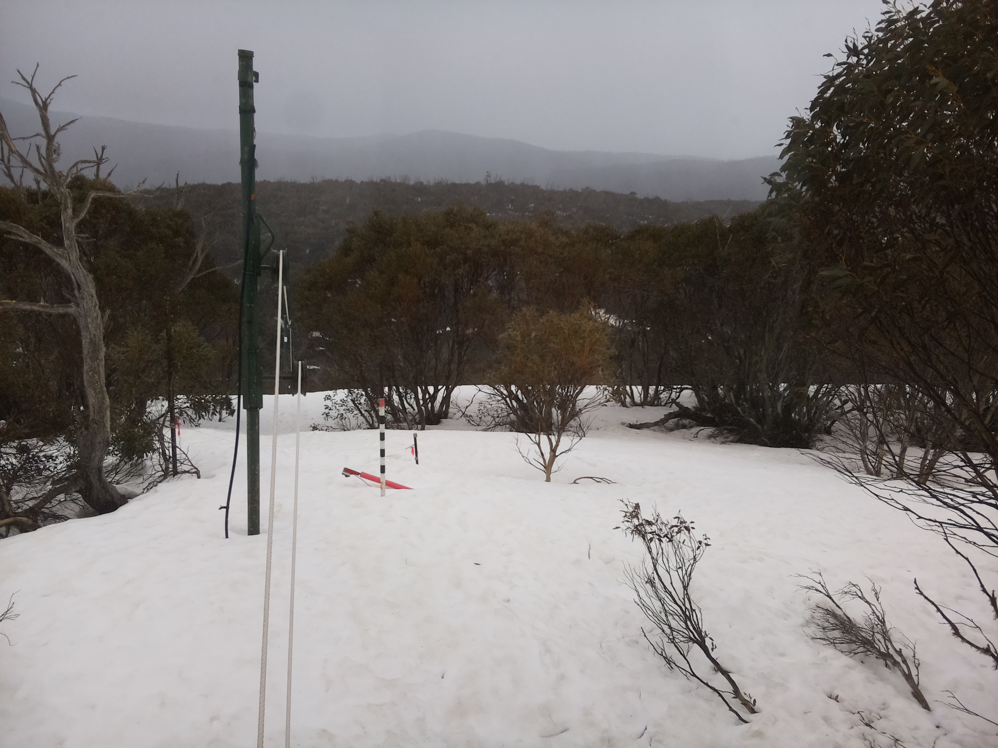 Bogong Web Cam 12:30pm Friday 19th of September 2025