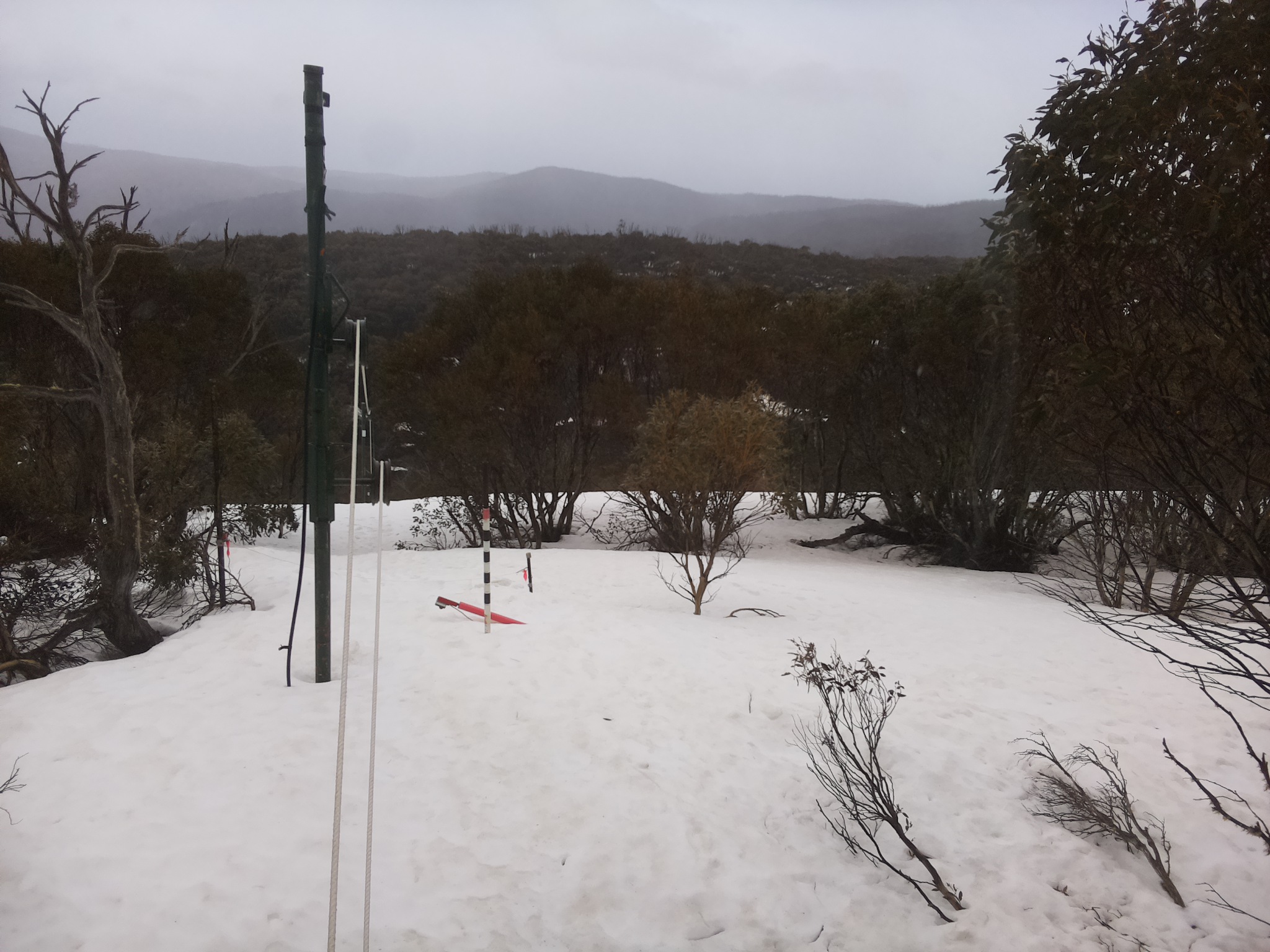 Bogong Web Cam 12:40pm Friday 19th of September 2025