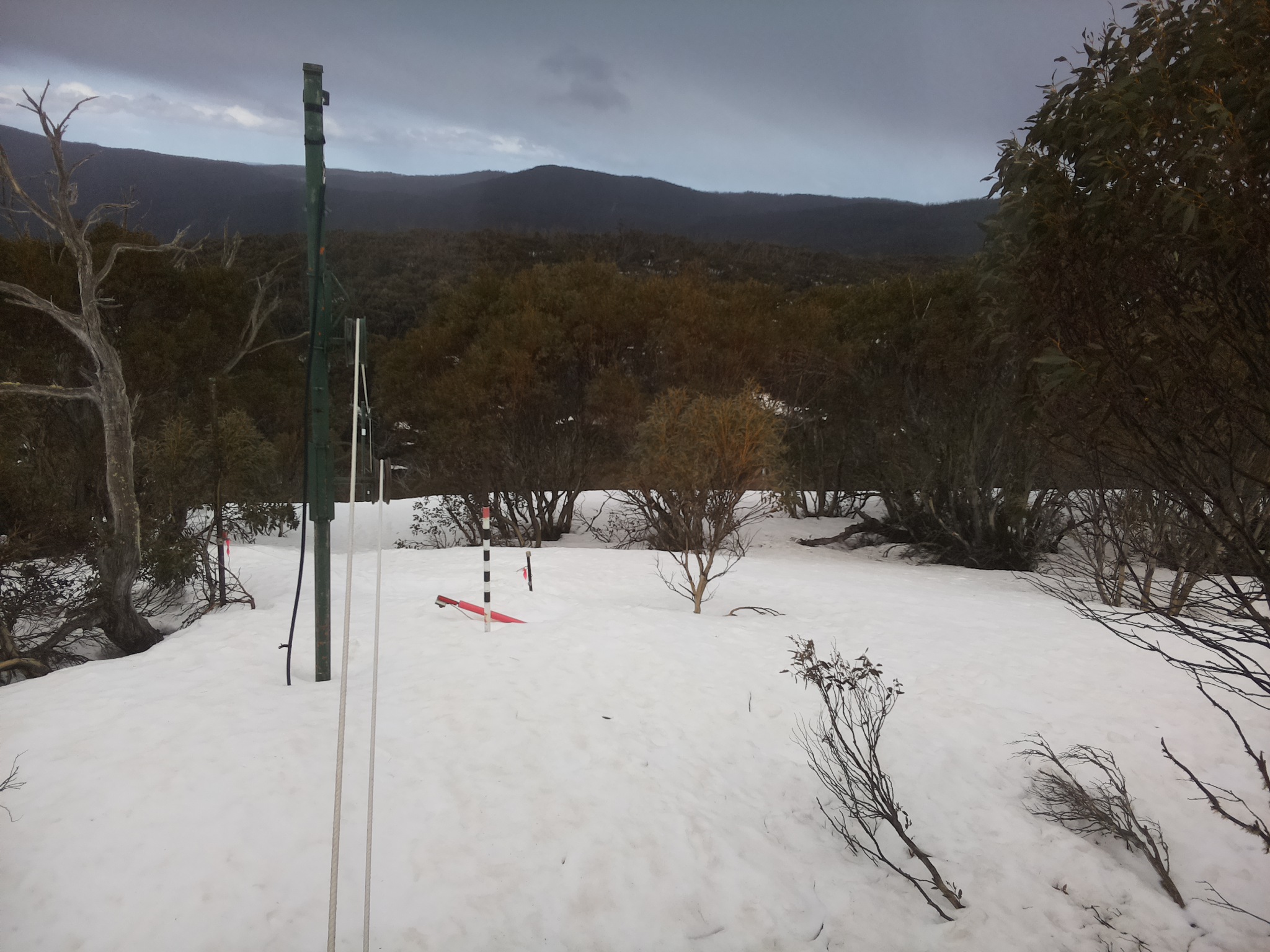 Bogong Web Cam 1:40pm Friday 19th of September 2025