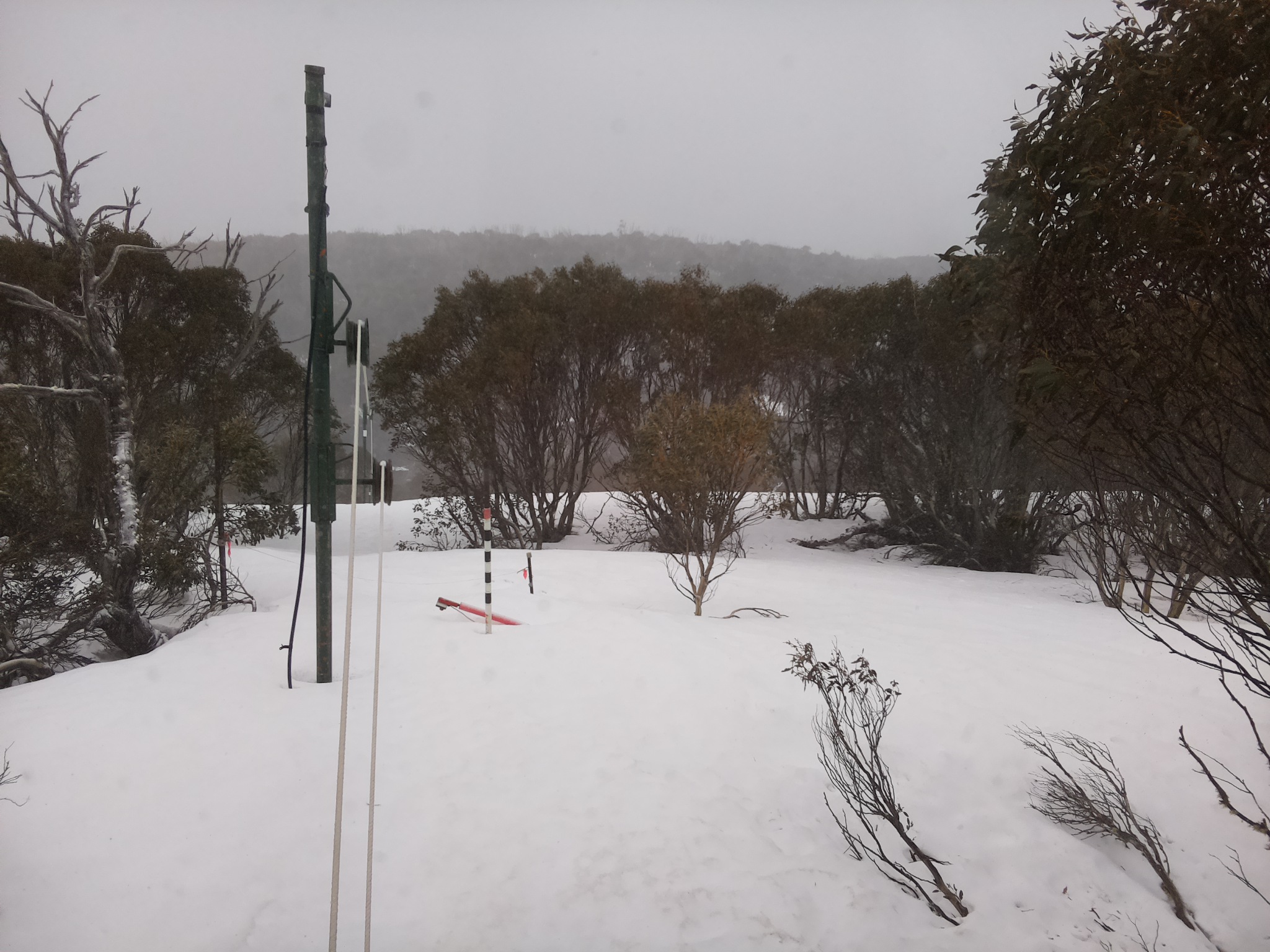 Bogong Web Cam 9:10am Saturday 20th of September 2025