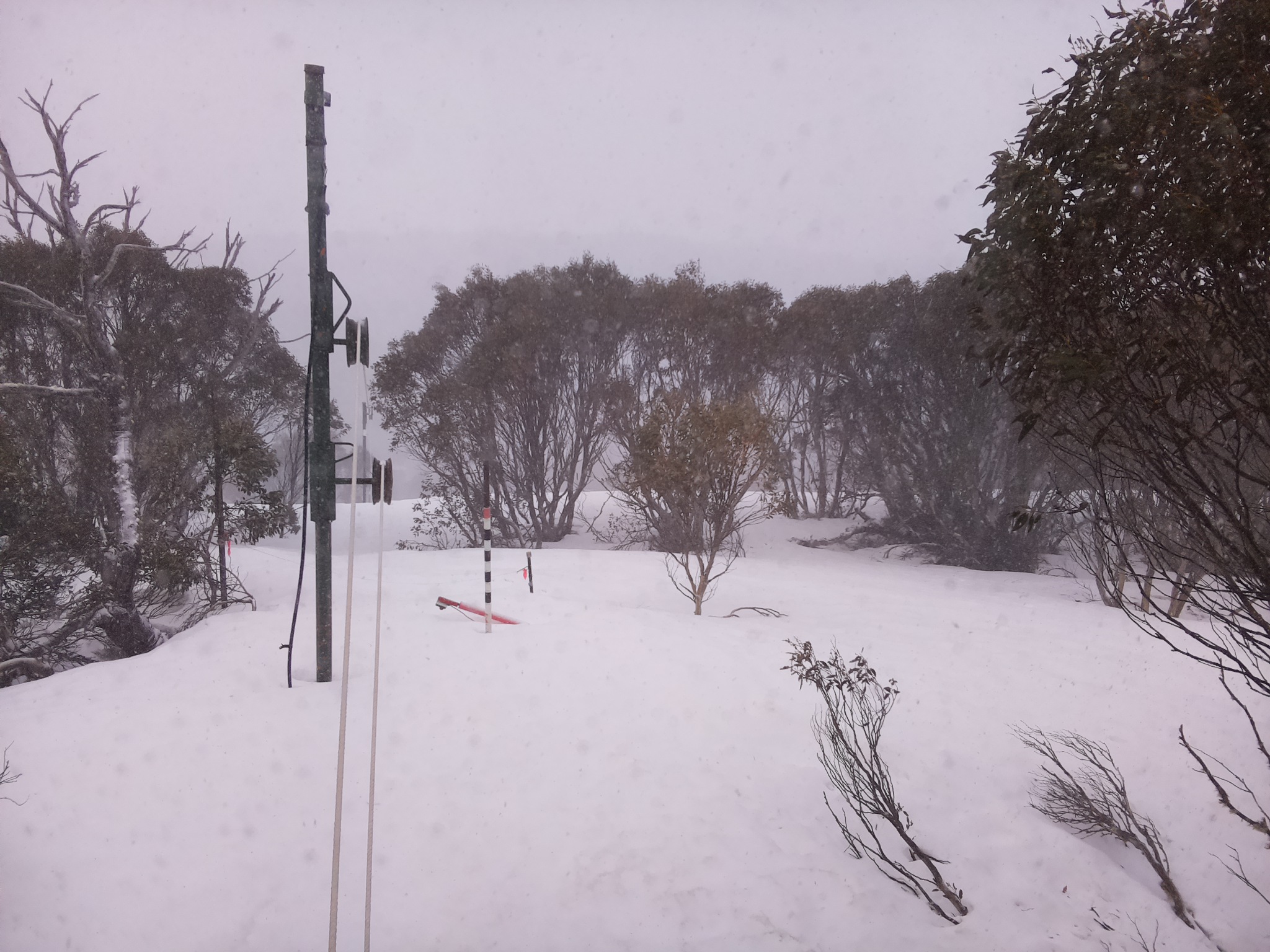Bogong Web Cam 9:20am Saturday 20th of September 2025