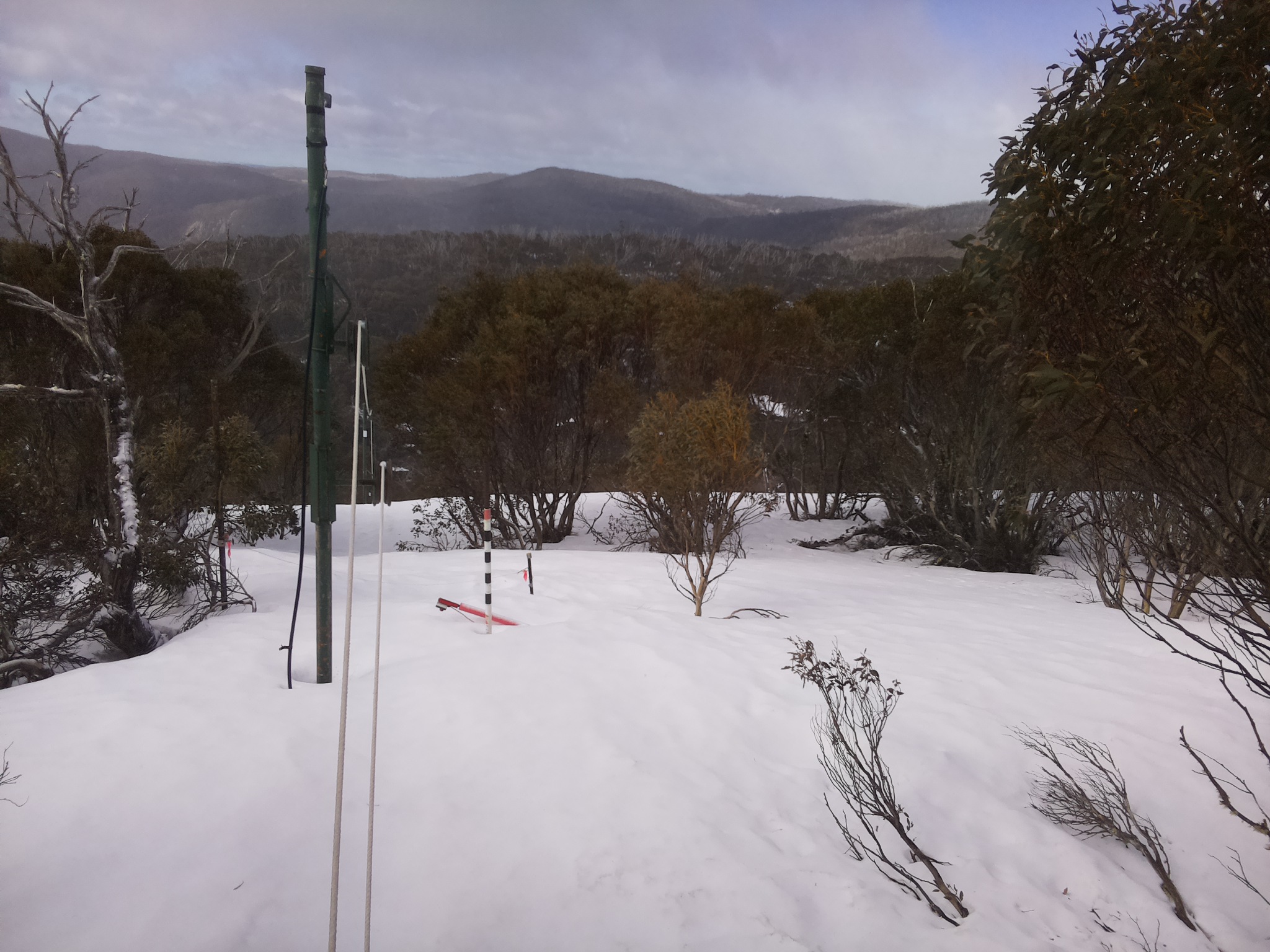 Bogong Web Cam 9:50am Saturday 20th of September 2025