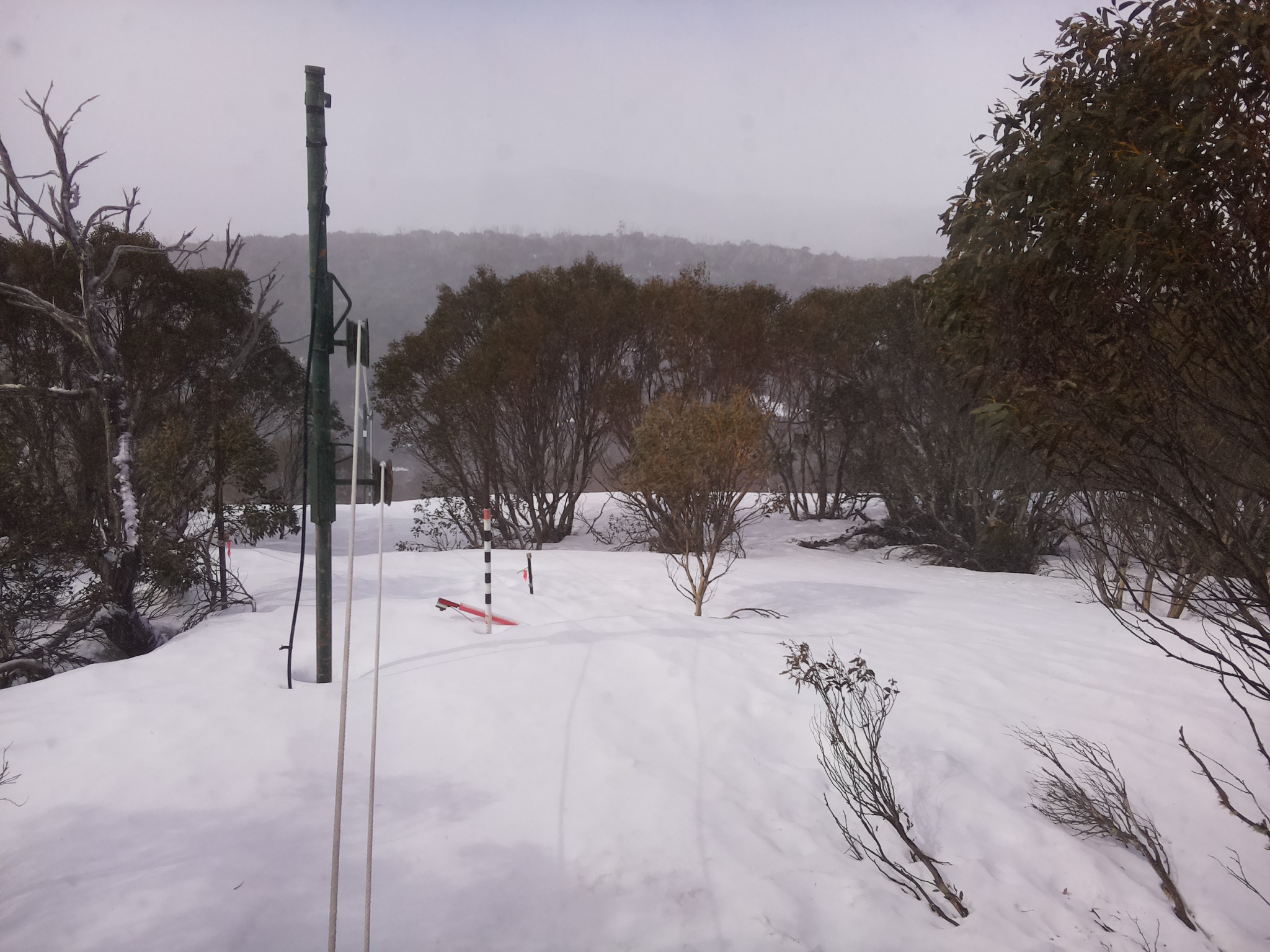 Bogong Web Cam 10:00am Saturday 20th of September 2025