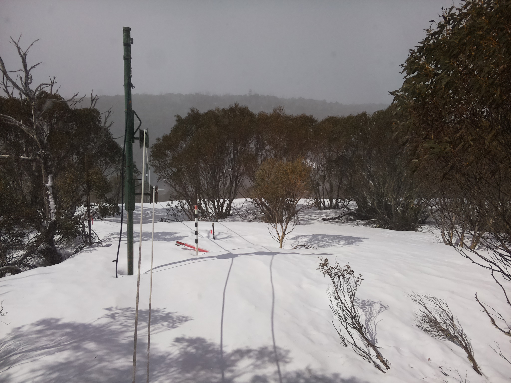 Bogong Web Cam 10:10am Saturday 20th of September 2025