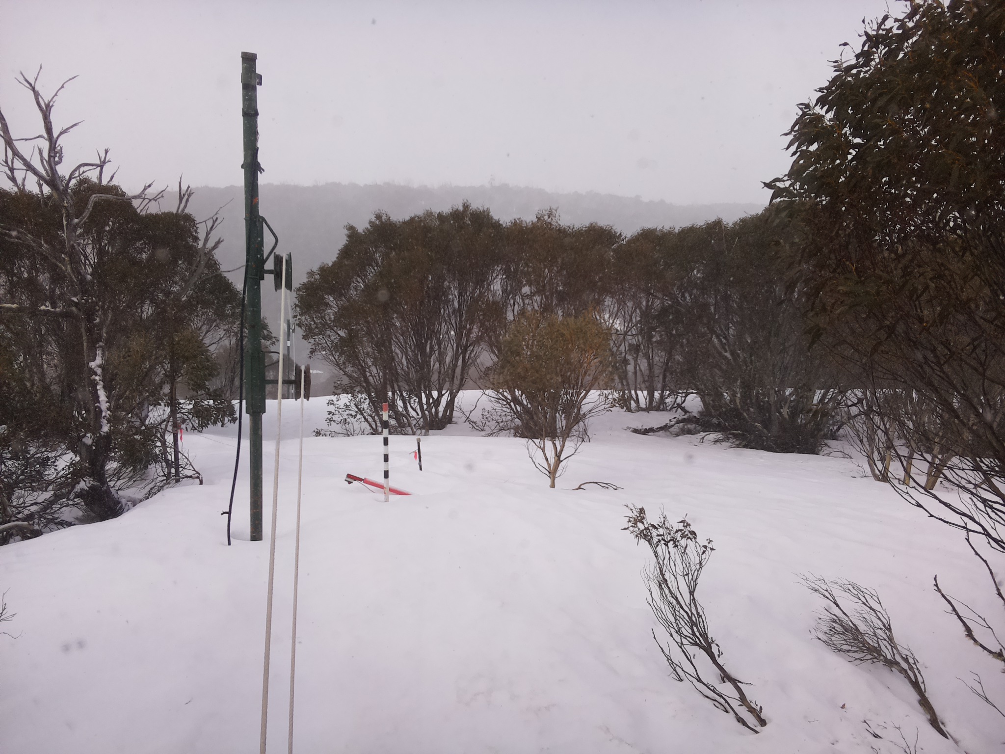 Bogong Web Cam 10:30am Saturday 20th of September 2025