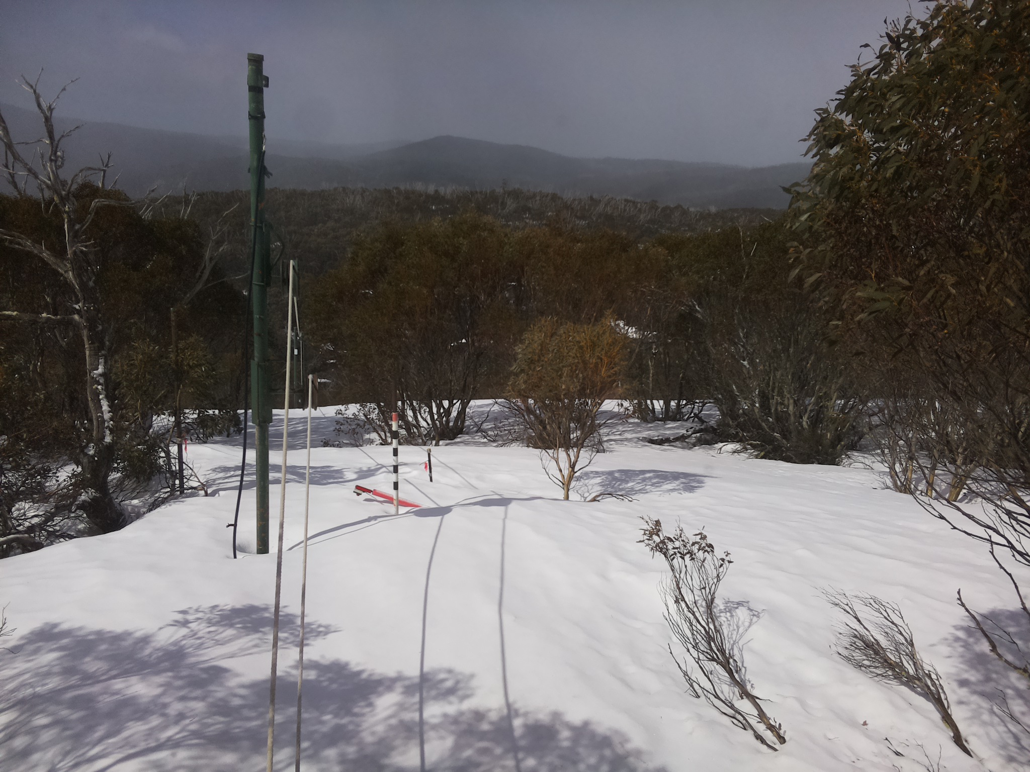 Bogong Web Cam 10:40am Saturday 20th of September 2025