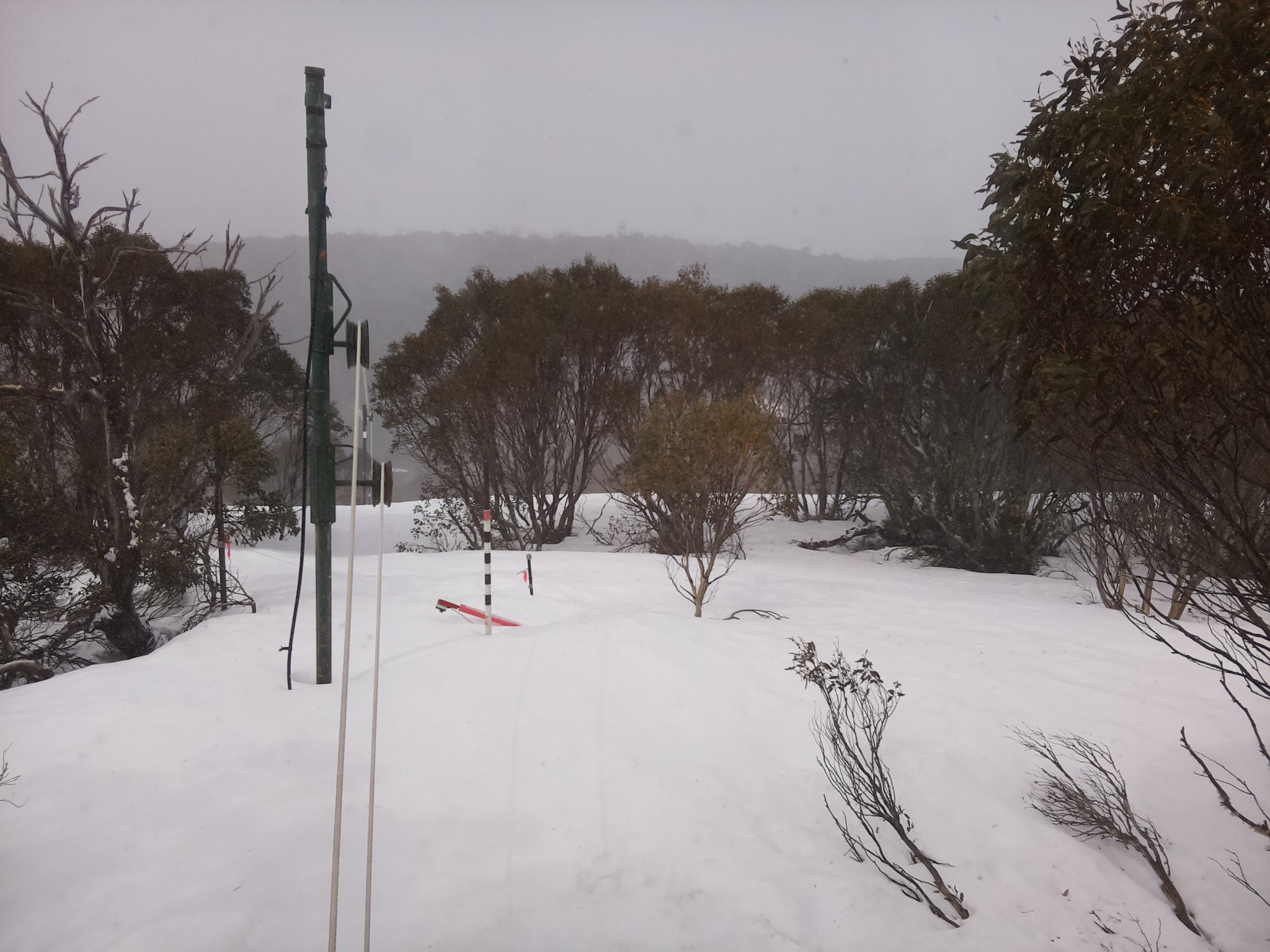 Bogong Web Cam 10:50am Saturday 20th of September 2025