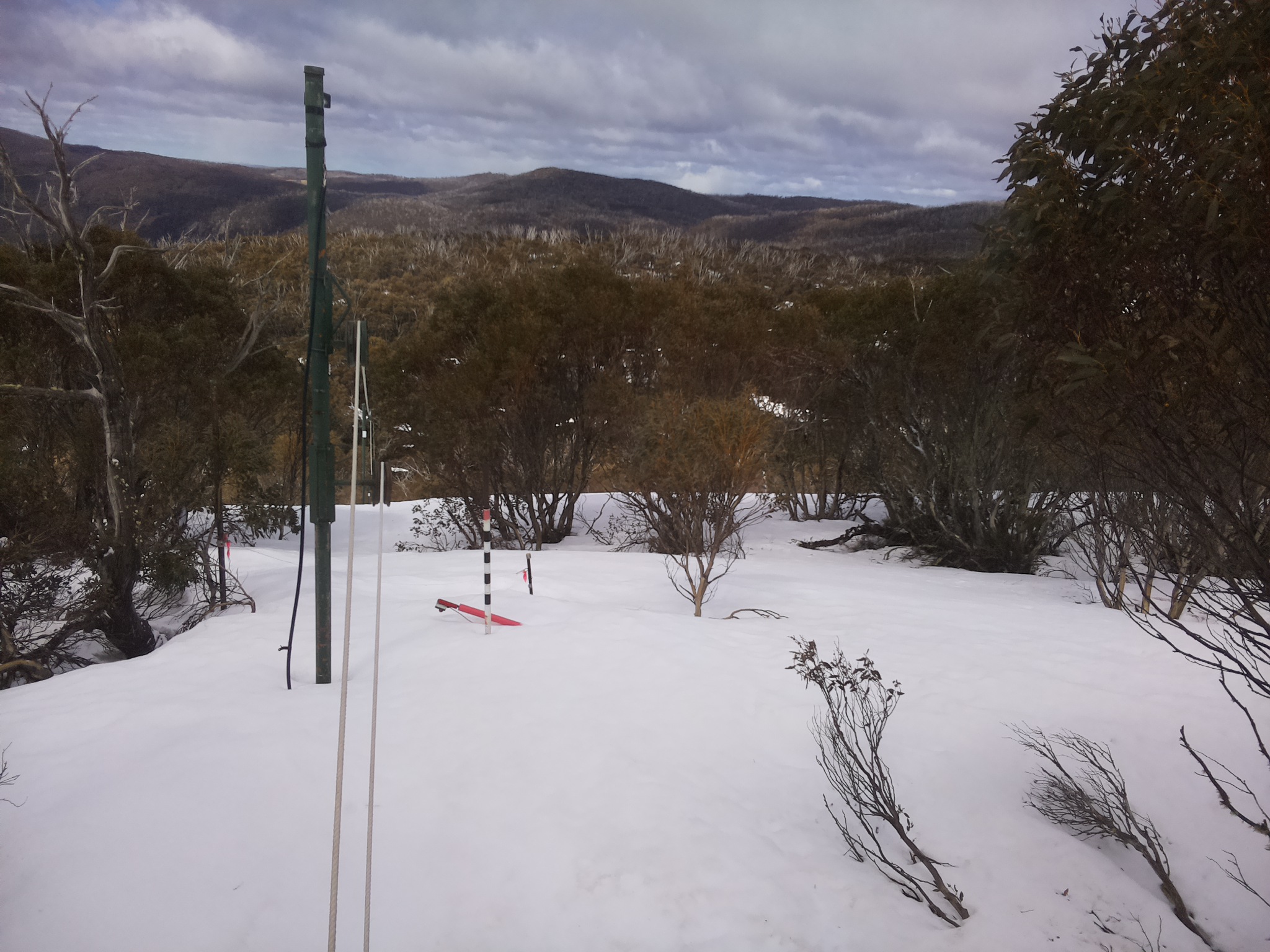 Bogong Web Cam 11:50am Saturday 20th of September 2025