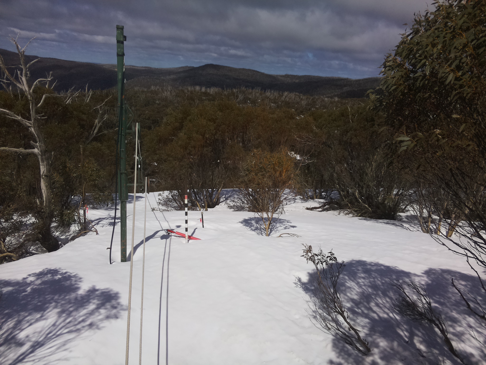 Bogong Web Cam 12:40pm Saturday 20th of September 2025